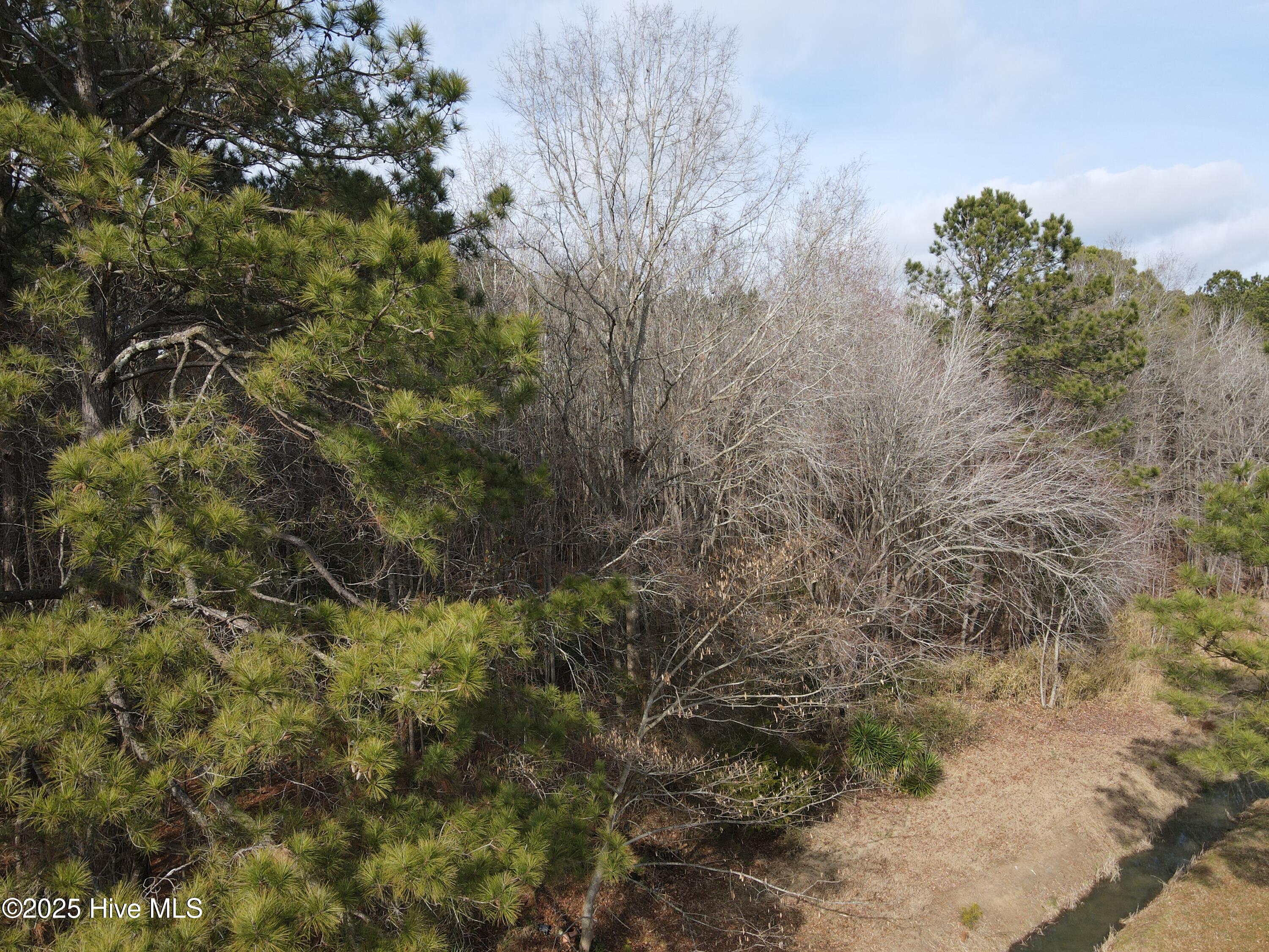 Tbd Highway 461 Property Photo 3