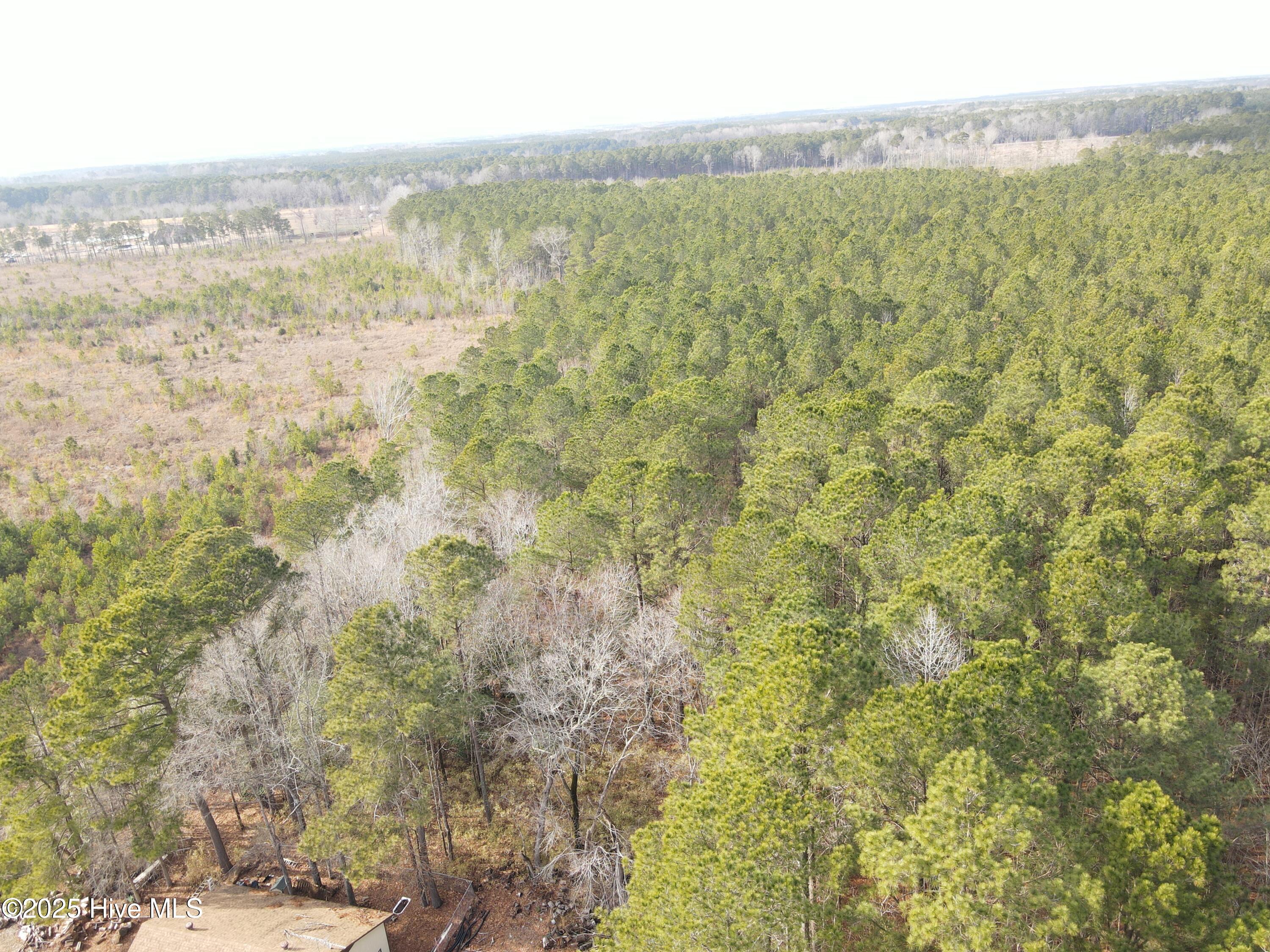 Tbd Highway 461 Property Photo 4