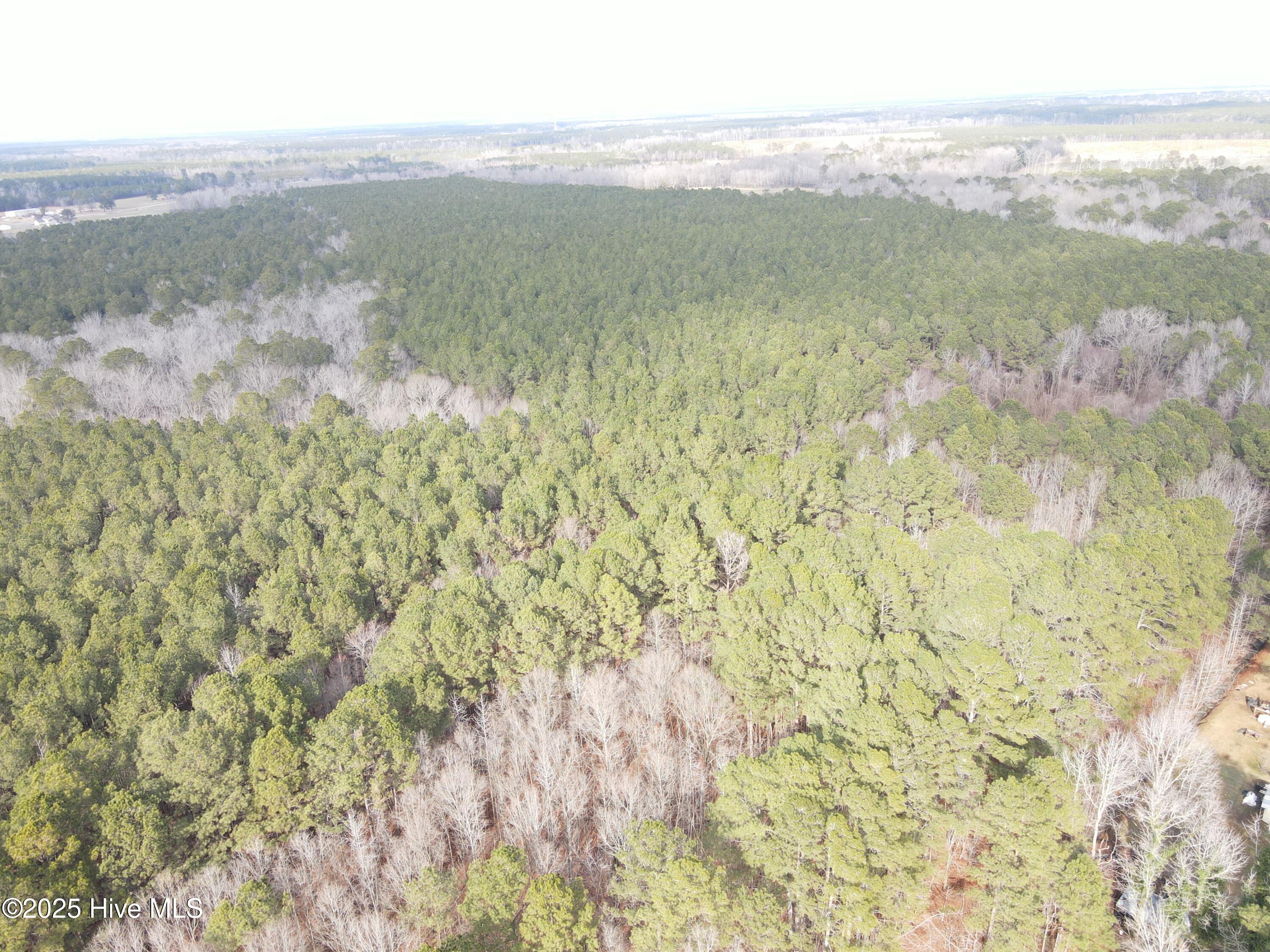 Tbd Highway 461 Property Photo 5
