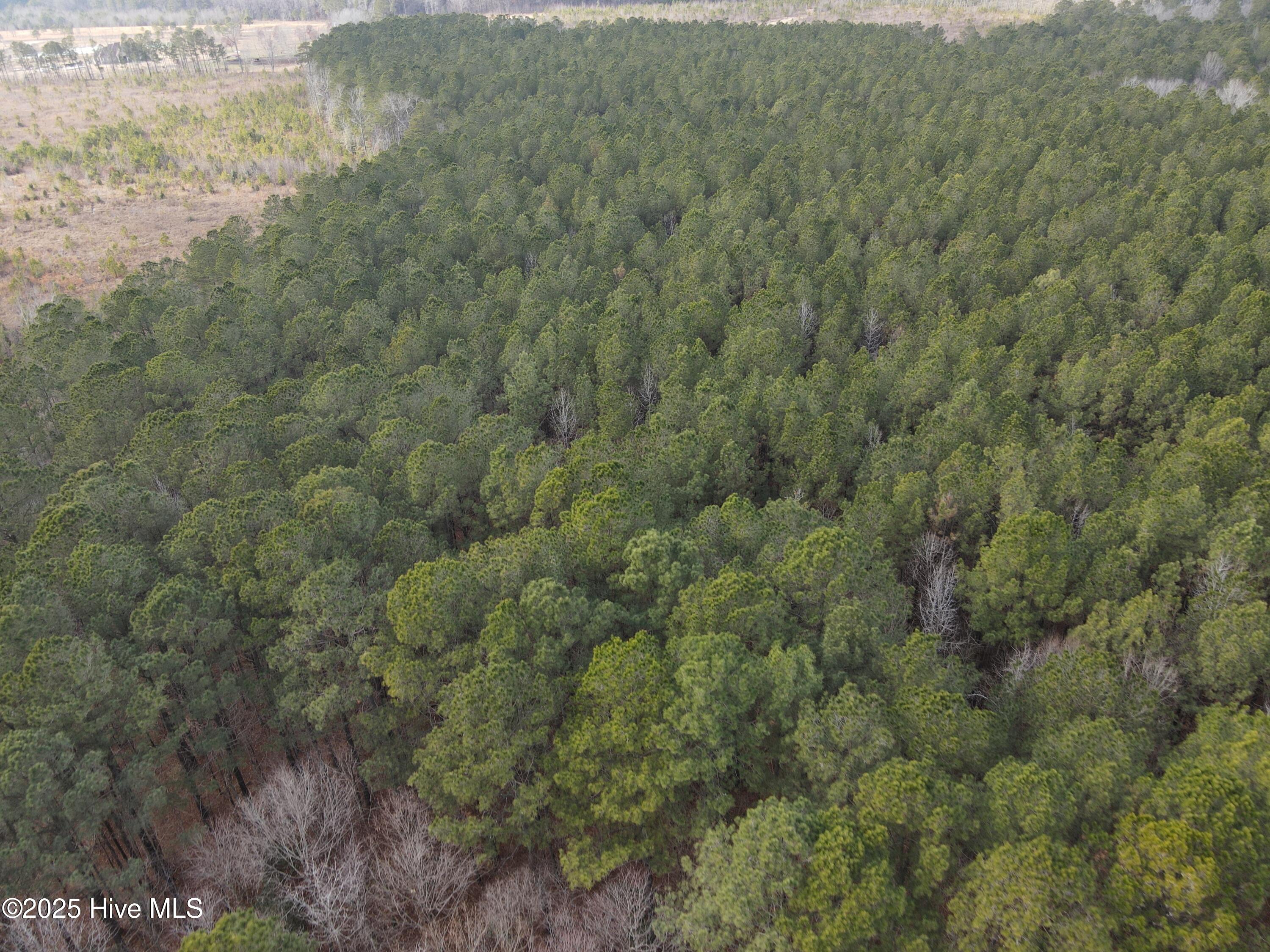 Tbd Highway 461 Property Photo 6