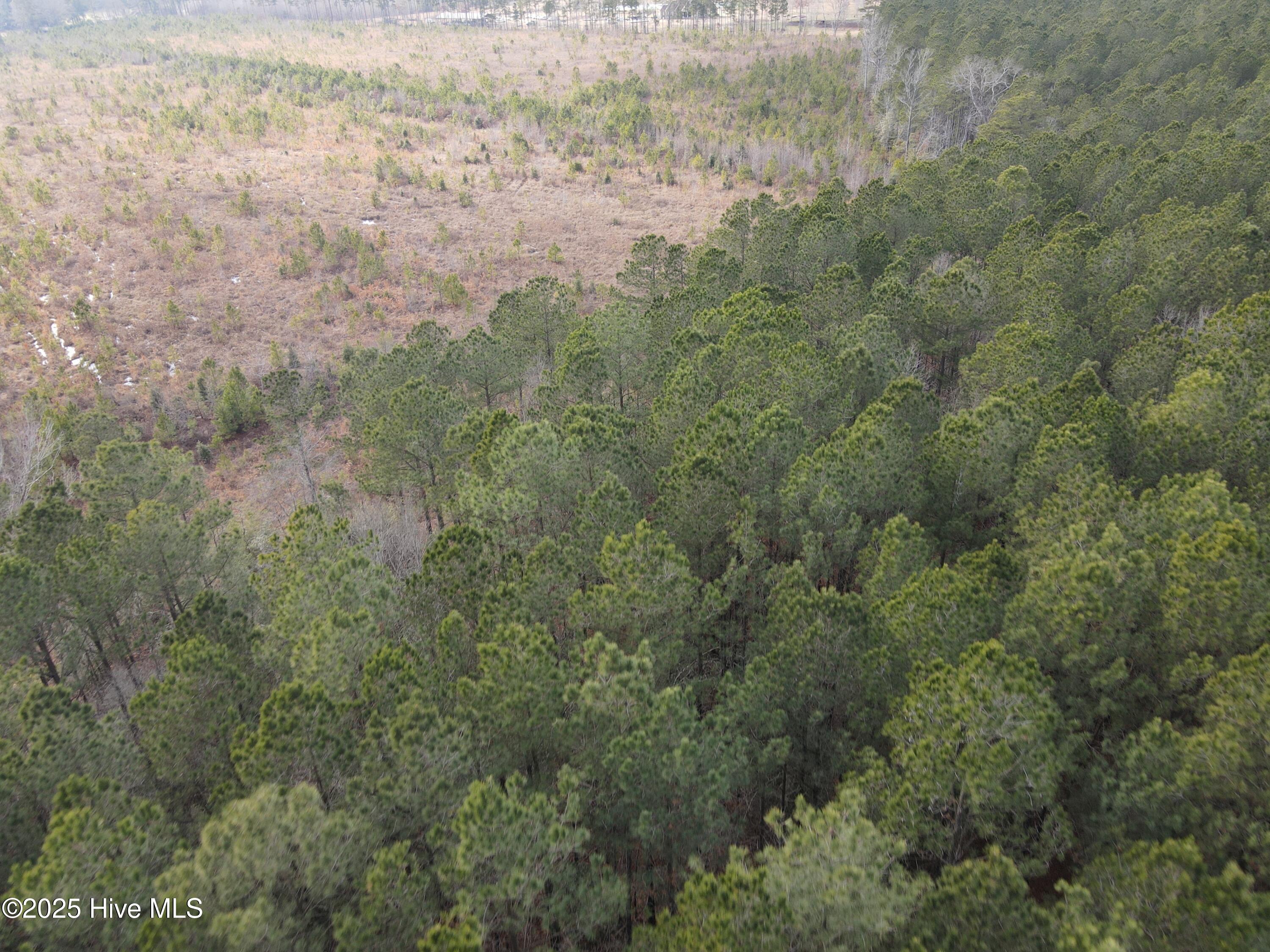 Tbd Highway 461 Property Photo 7