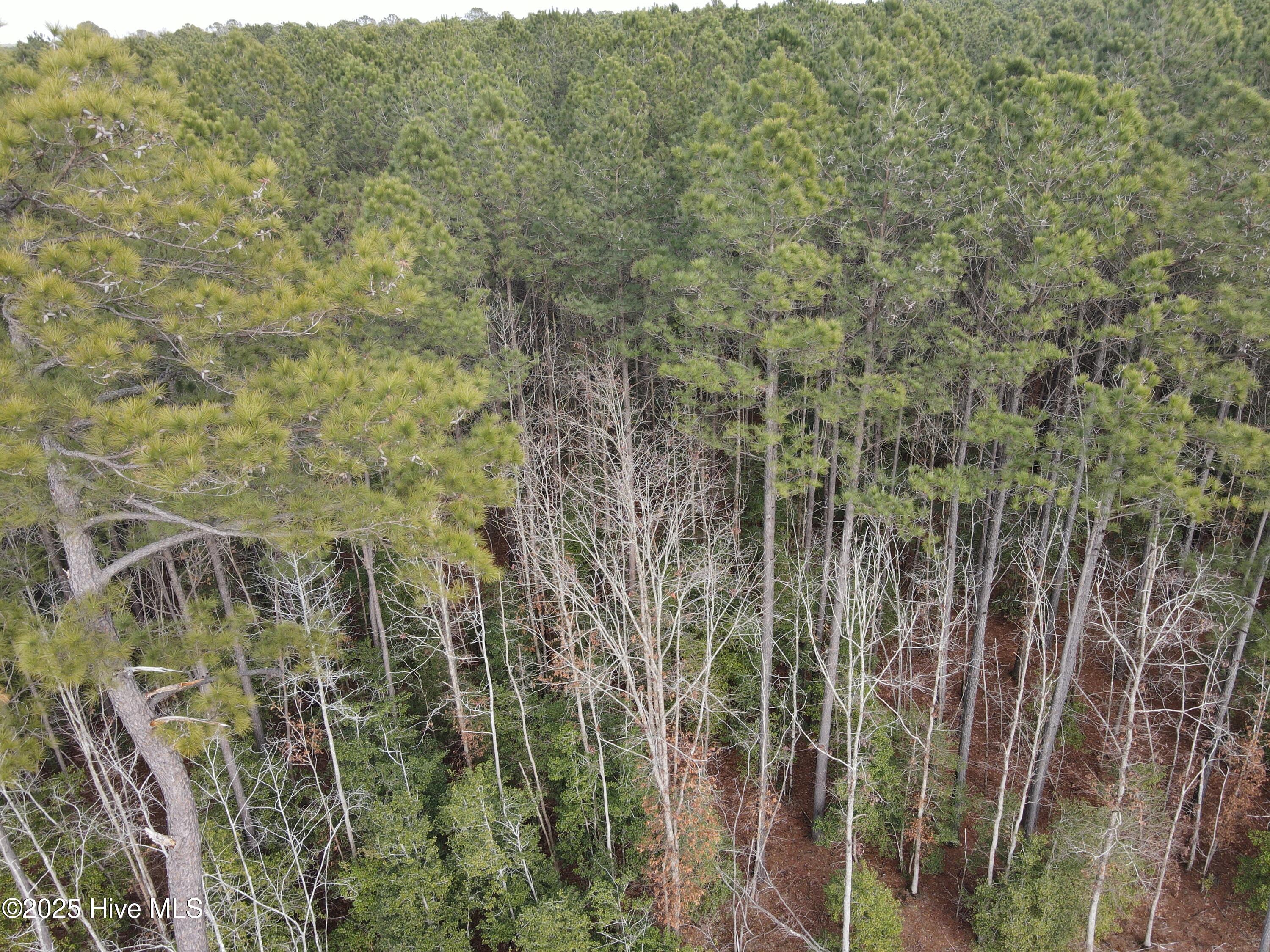 Tbd Highway 461 Property Photo 8