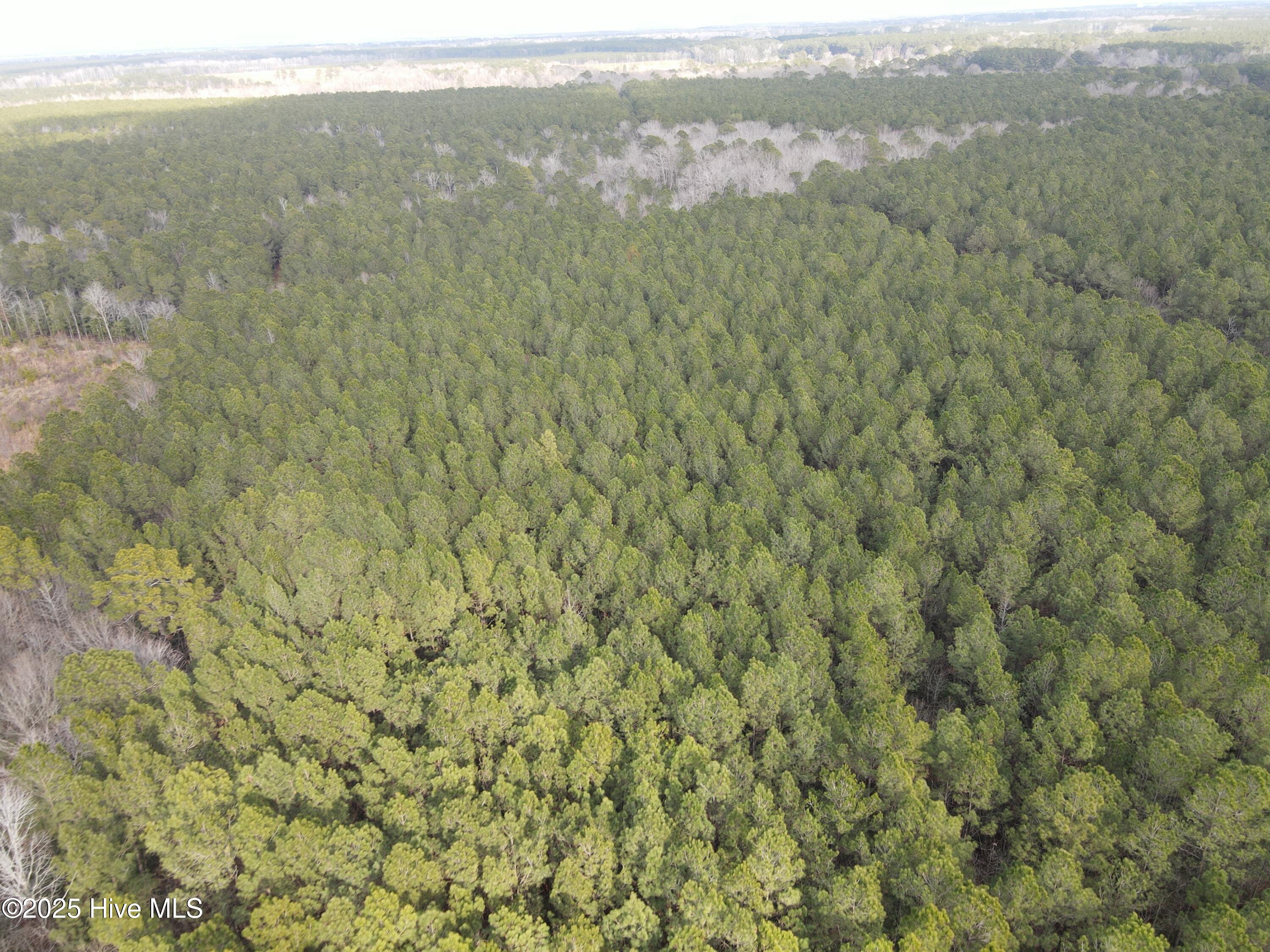 Tbd Highway 461 Property Photo 9