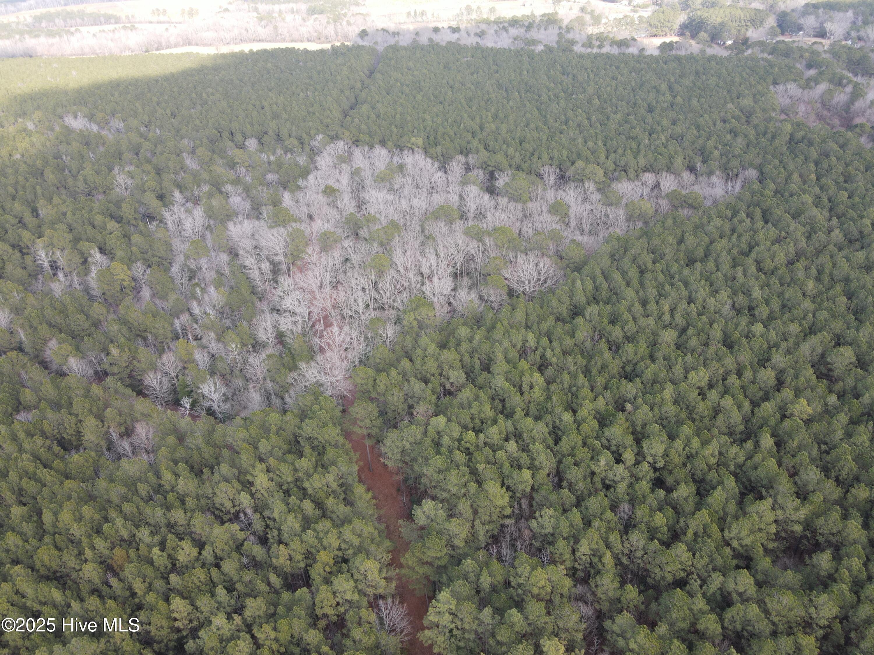 Tbd Highway 461 Property Photo 10