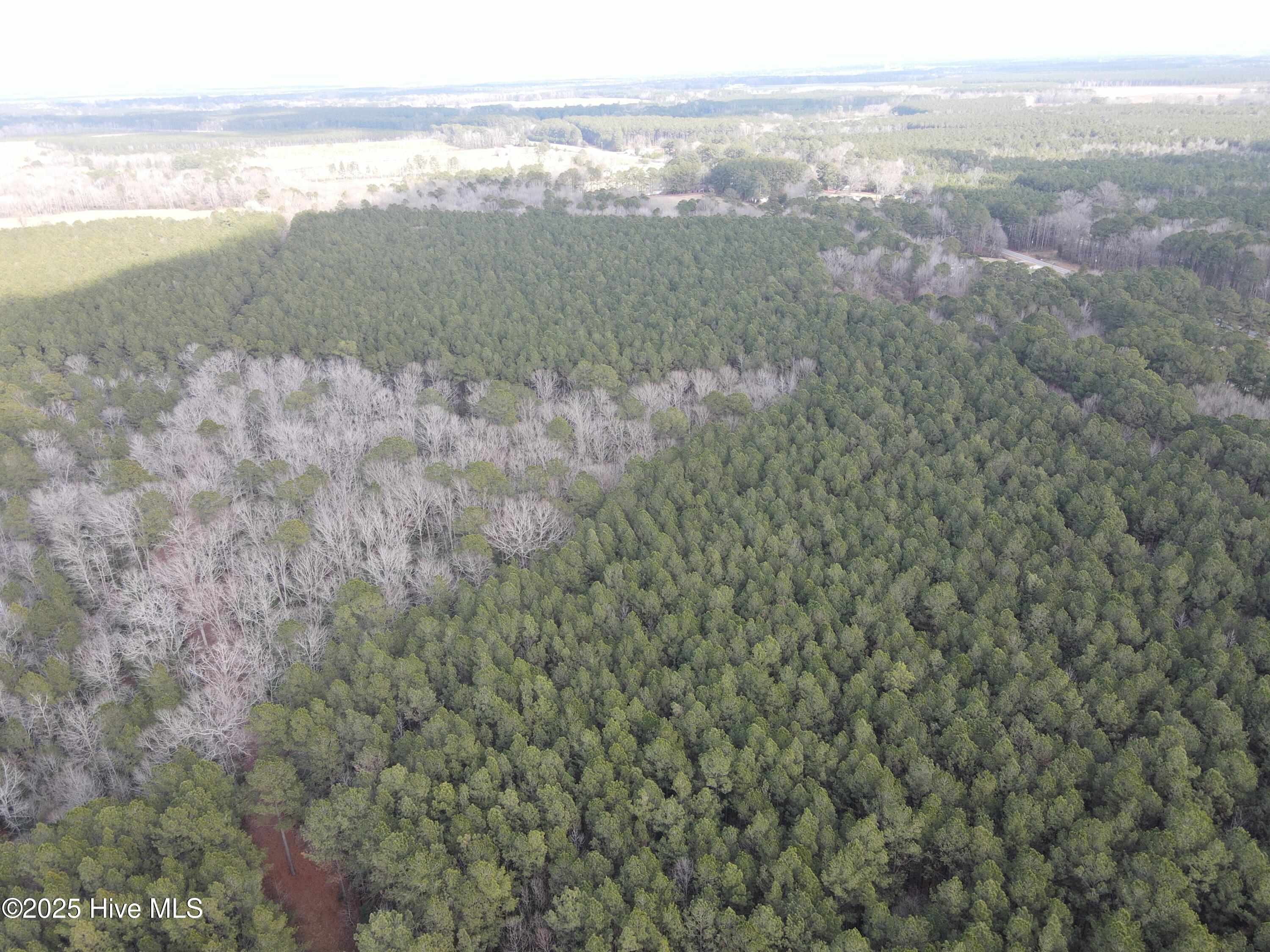Tbd Highway 461 Property Photo 11
