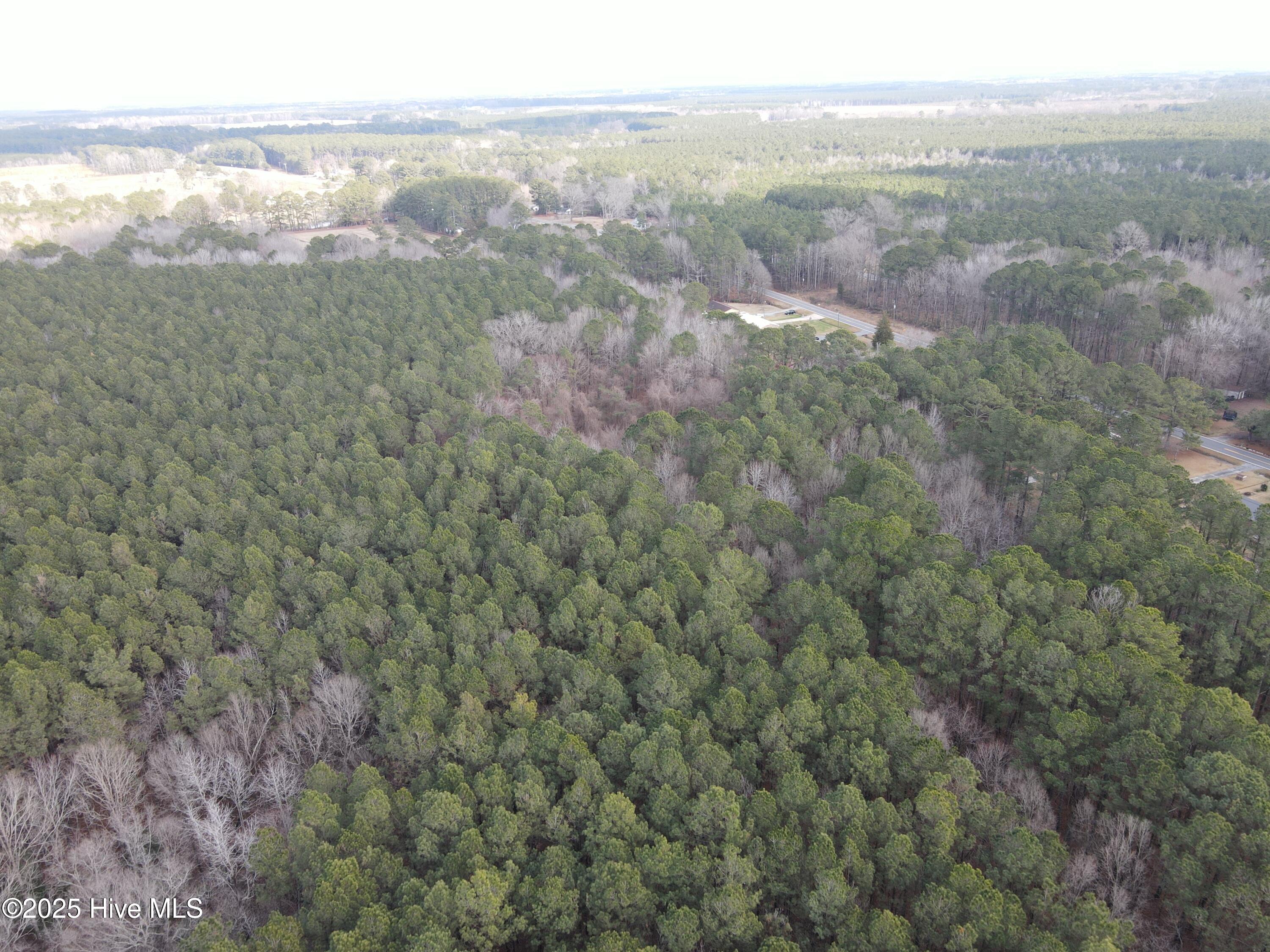 Tbd Highway 461 Property Photo 12
