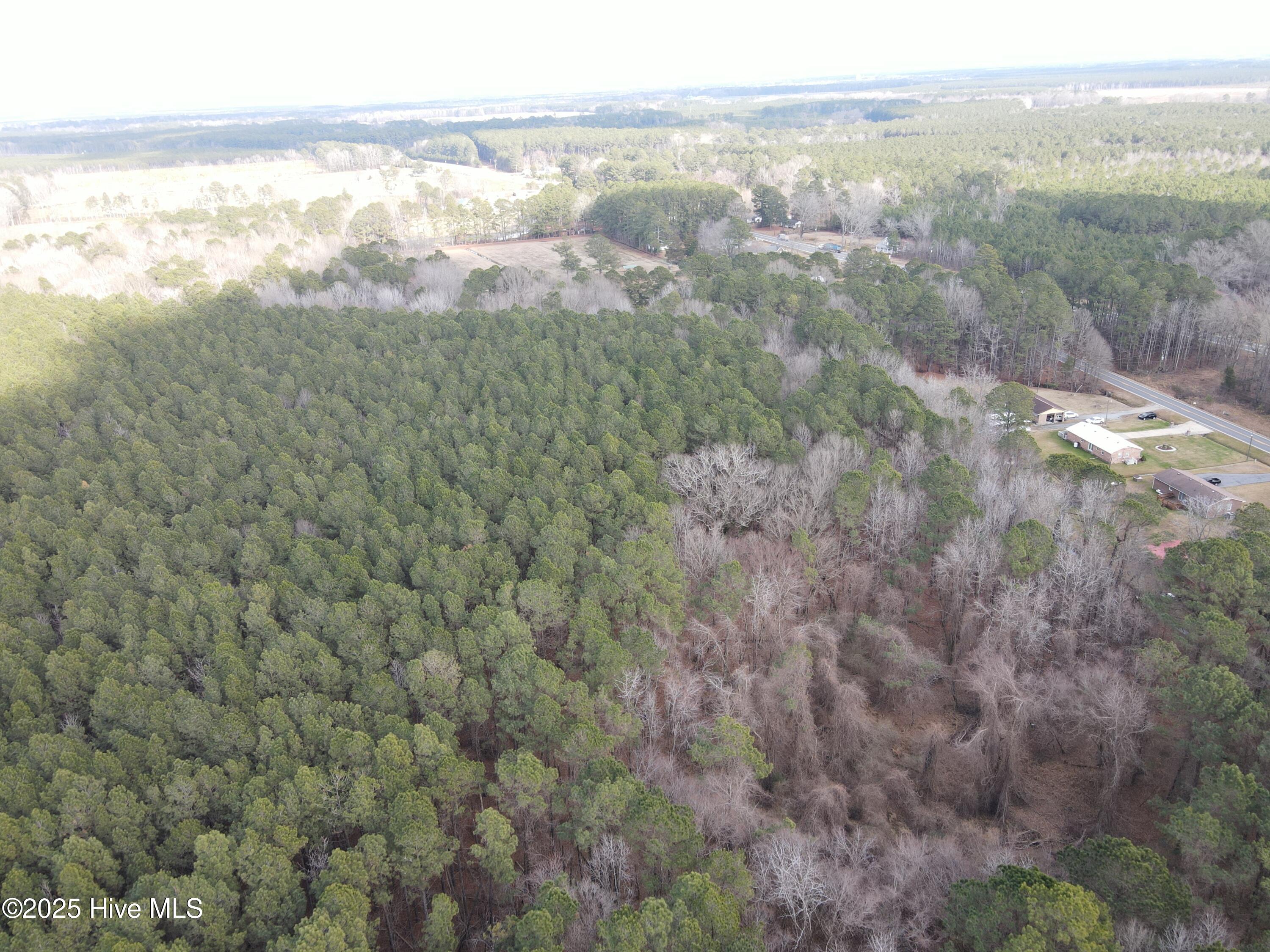 Tbd Highway 461 Property Photo 13