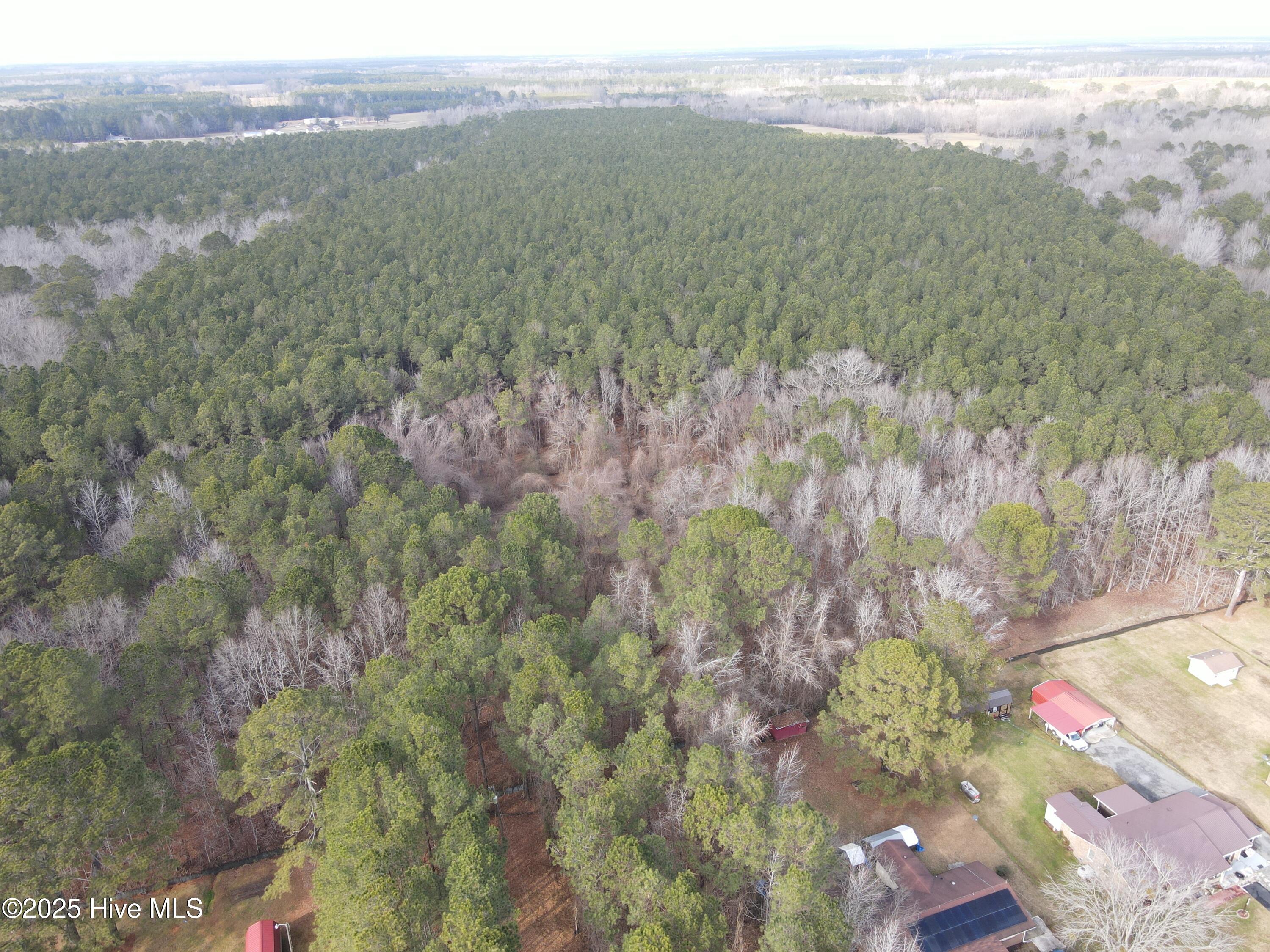 Tbd Highway 461 Property Photo 14