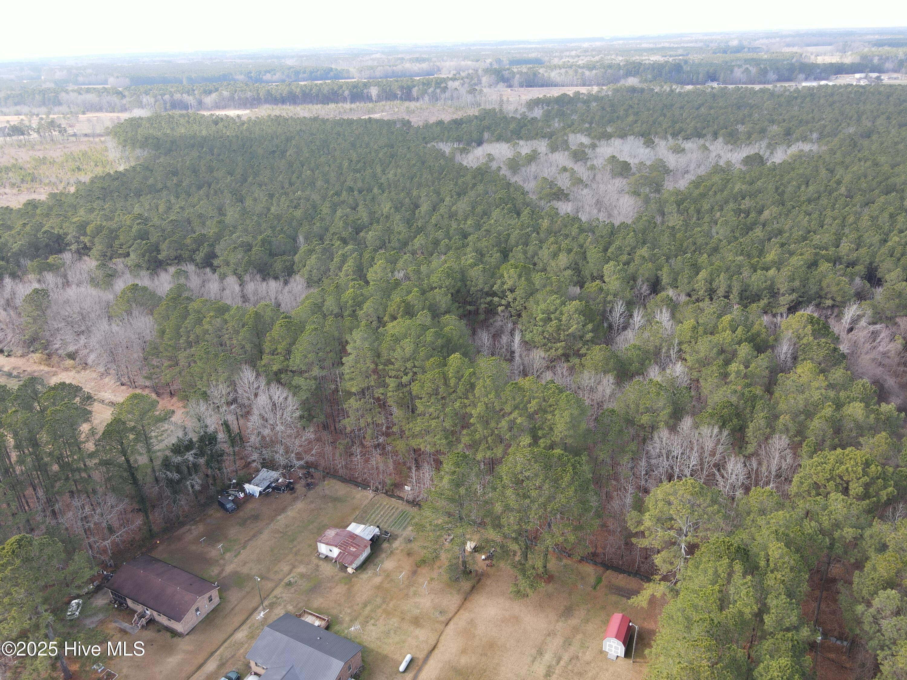 Tbd Highway 461 Property Photo 15