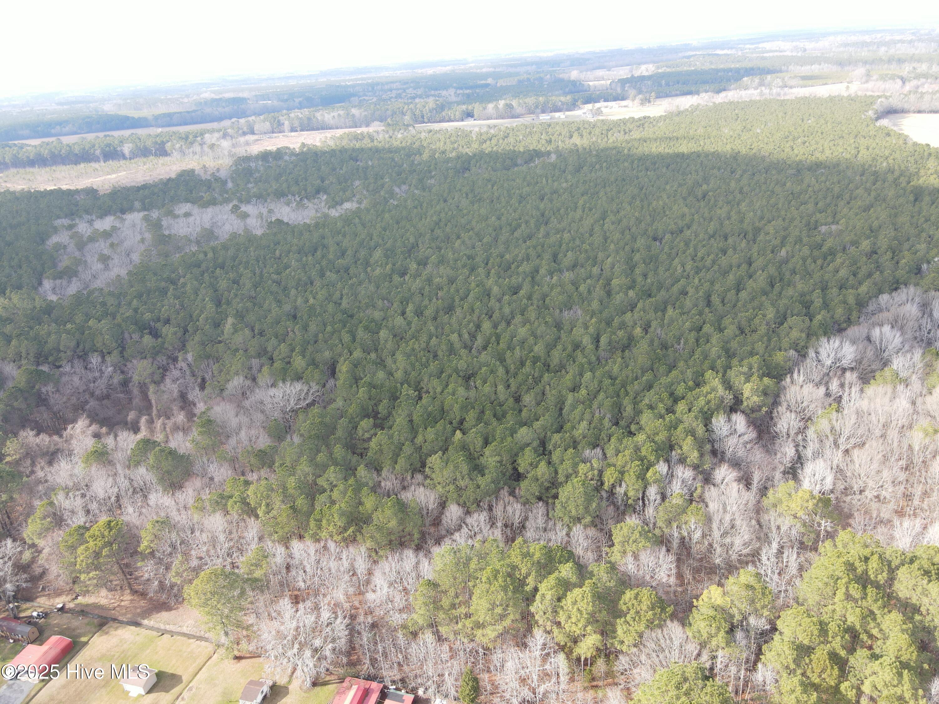 Tbd Highway 461 Property Photo 16
