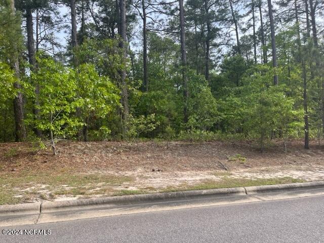 10 Chestertown Drive Property Photo 7
