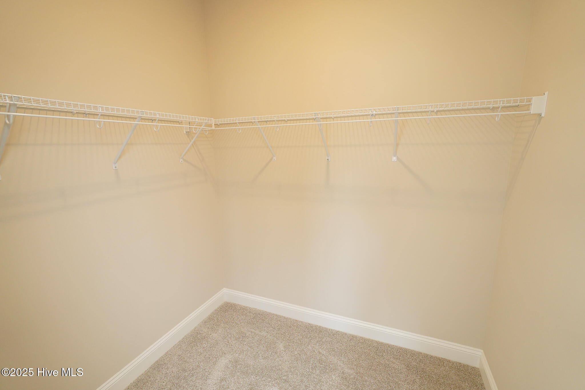 100 Dole Court Property Photo 21