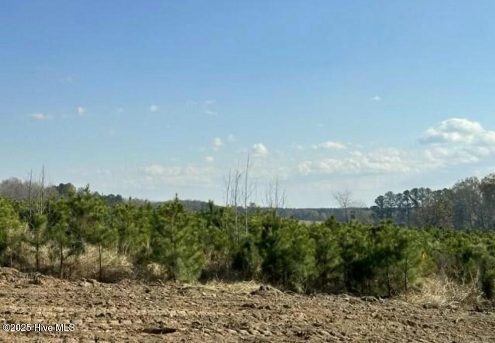 Lot 12 Good Shepherd Trail Property Photo 2