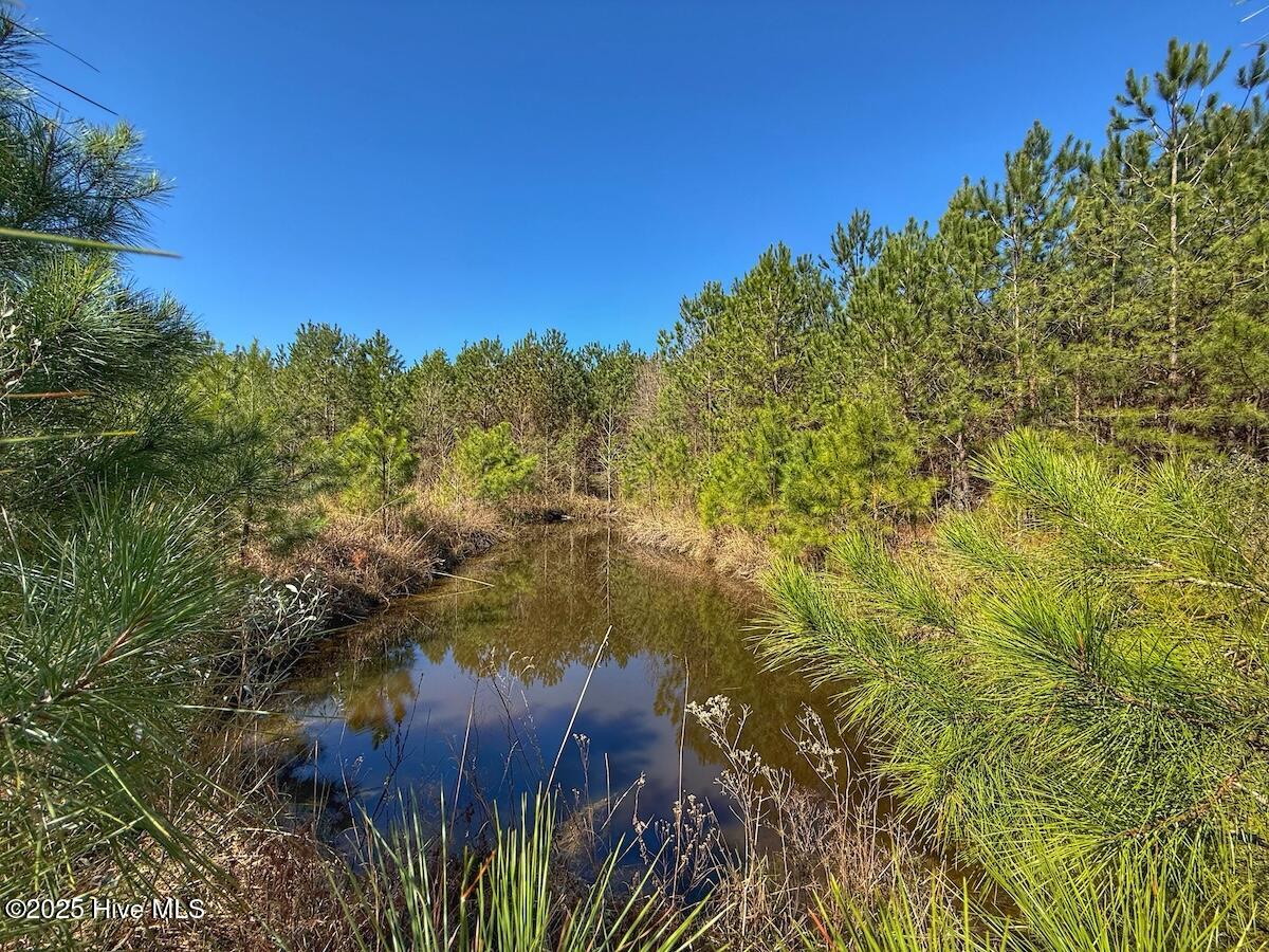 01 Highway 41 Property Photo 42