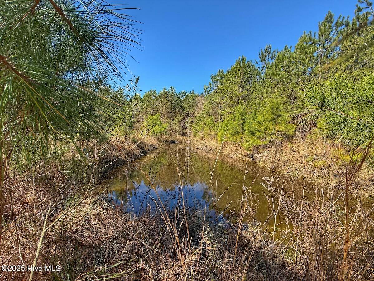 01 Highway 41 Property Photo 46