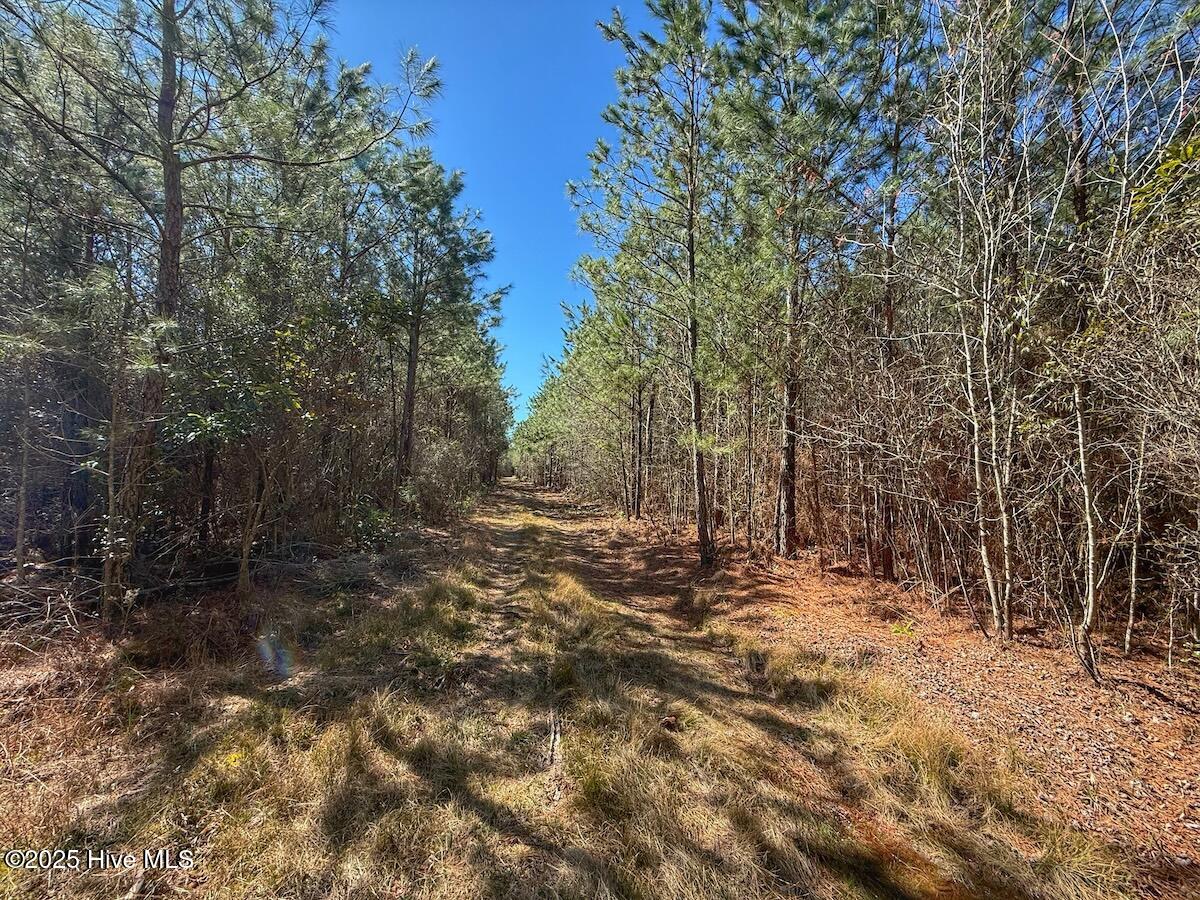 01 Highway 41 Property Photo 50