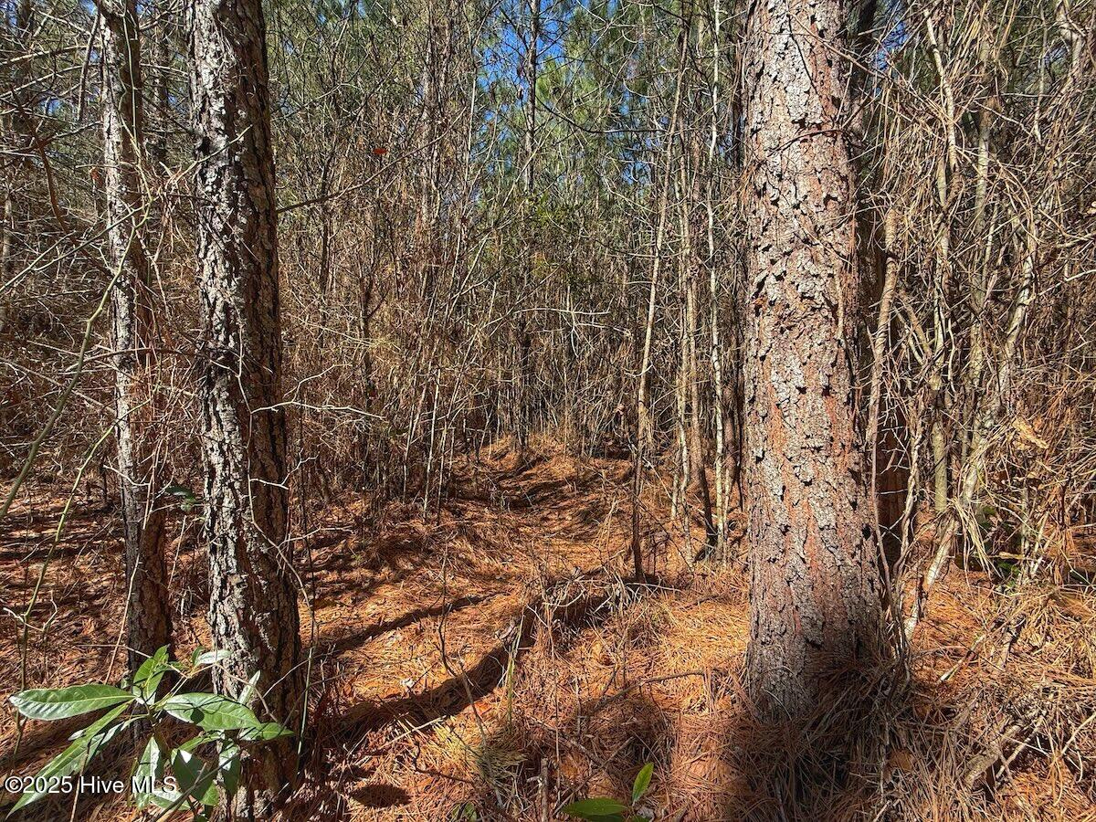 01 Highway 41 Property Photo 51
