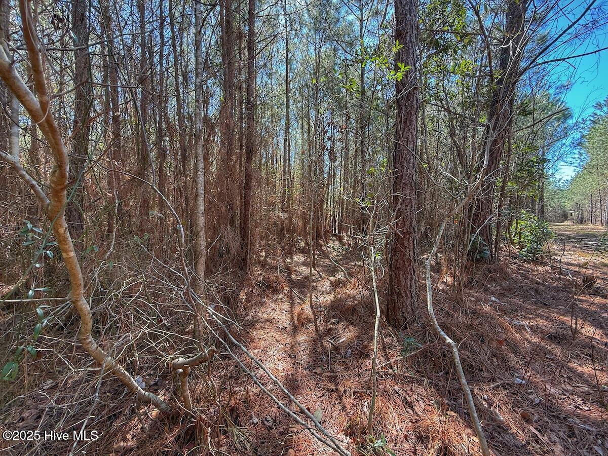 01 Highway 41 Property Photo 53
