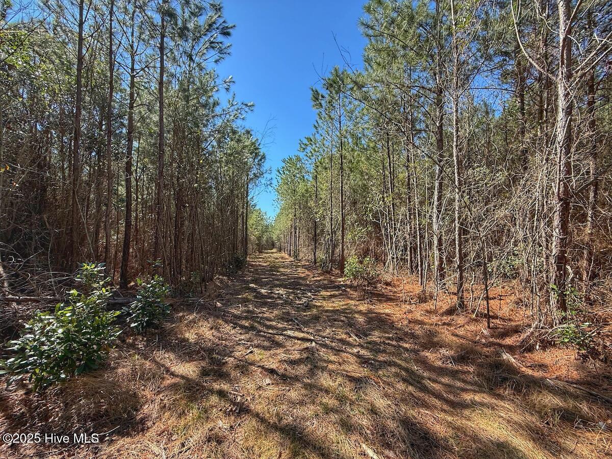 01 Highway 41 Property Photo 54