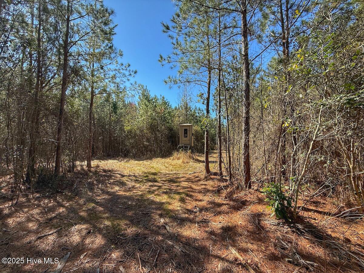 01 Highway 41 Property Photo 56