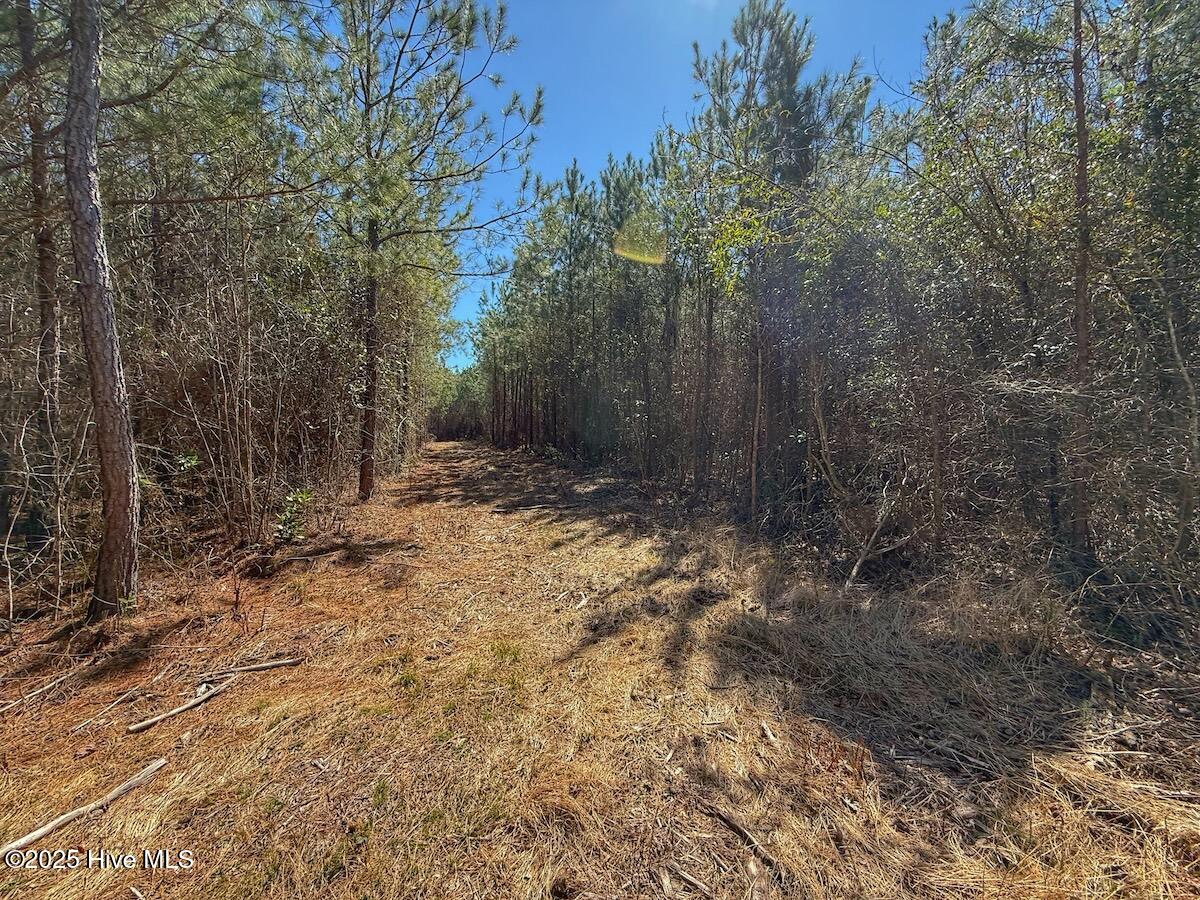 01 Highway 41 Property Photo 58