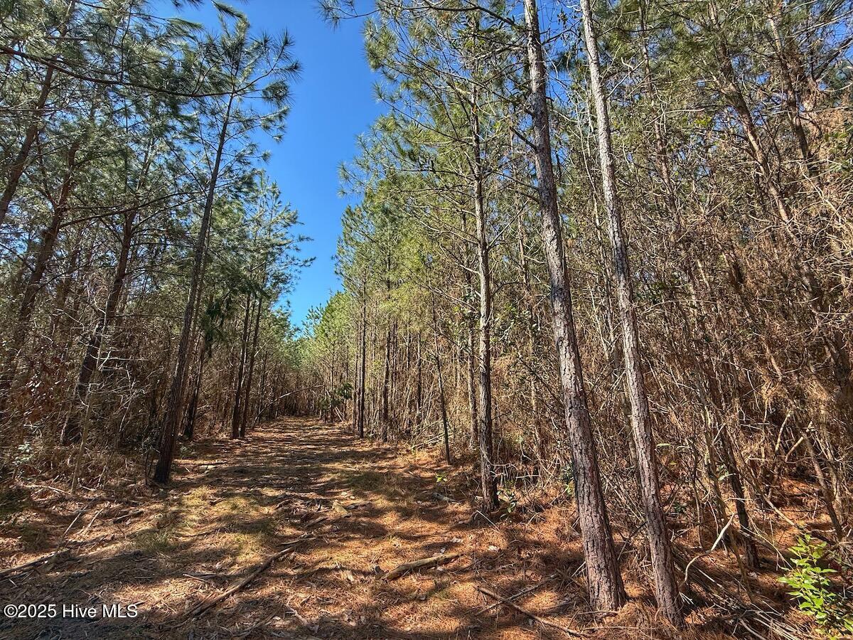 01 Highway 41 Property Photo 61