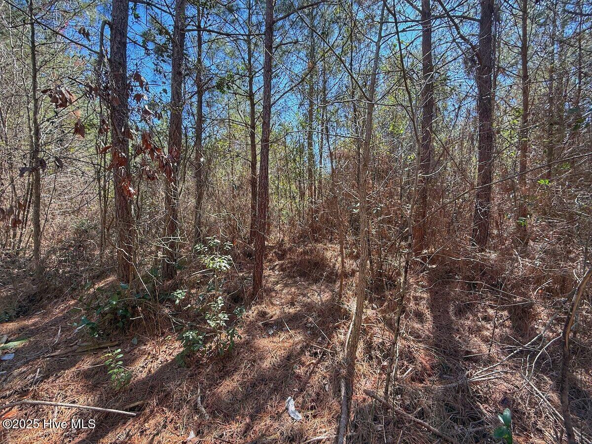 01 Highway 41 Property Photo 62