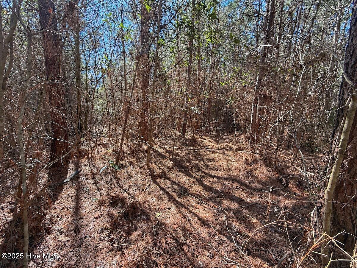 01 Highway 41 Property Photo 63