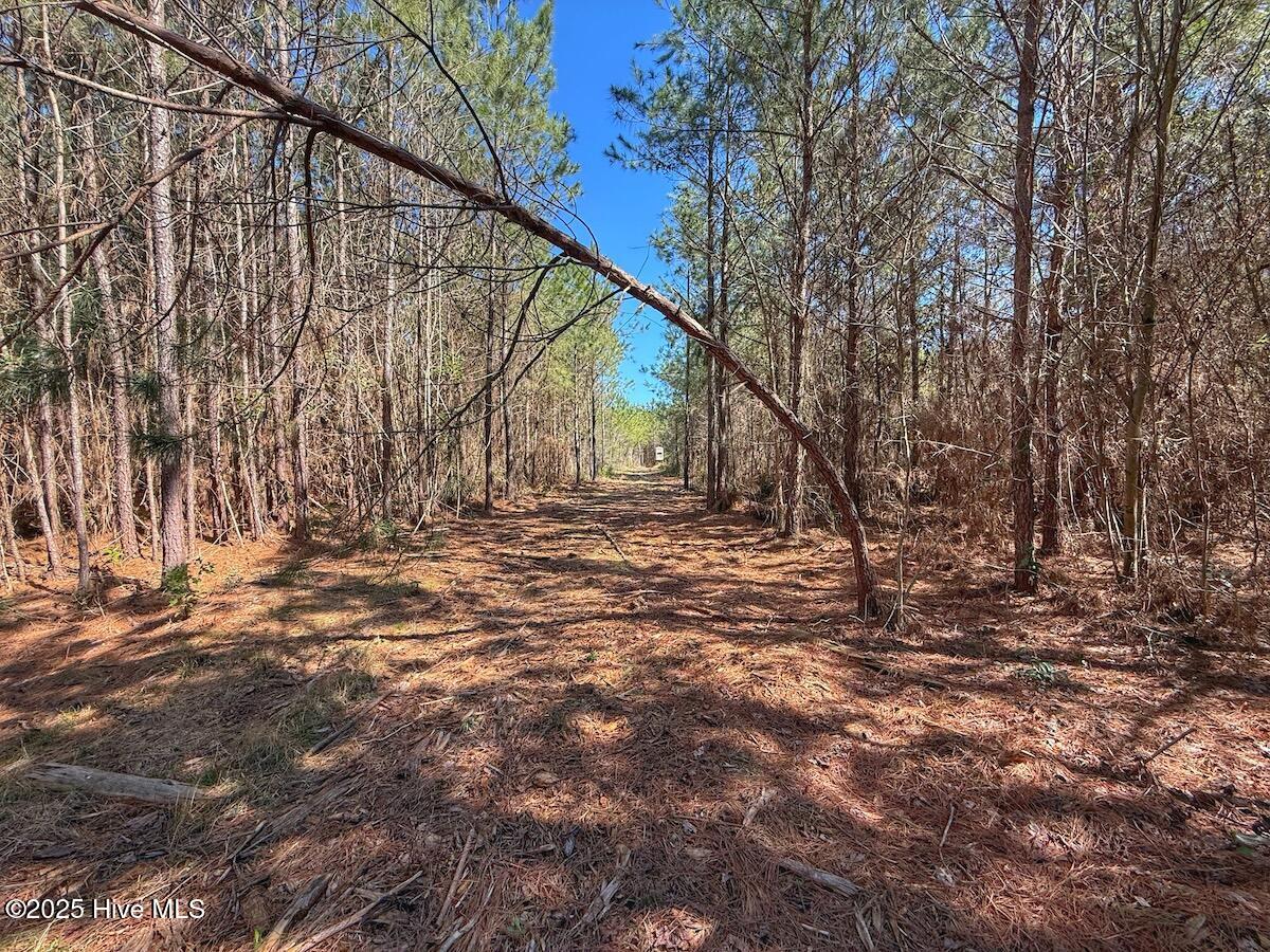 01 Highway 41 Property Photo 64