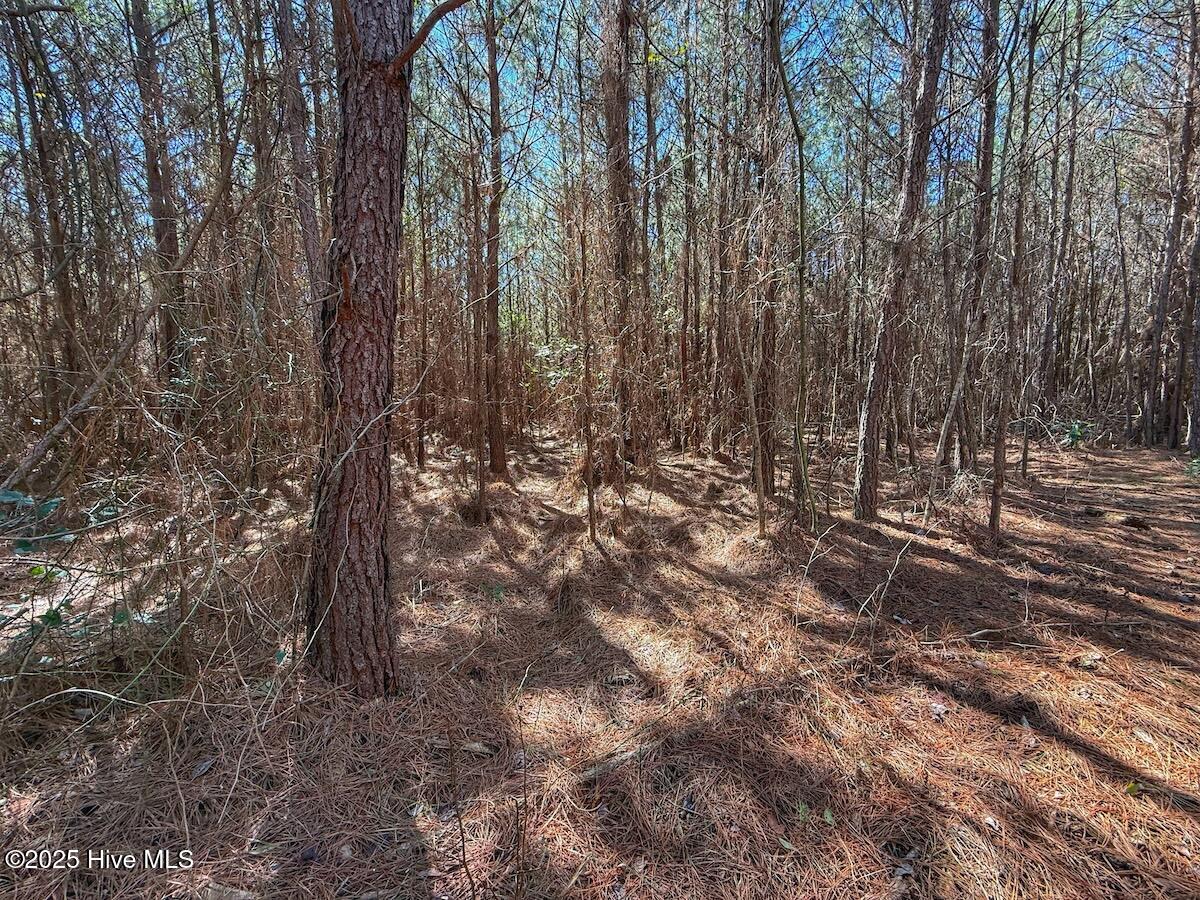 01 Highway 41 Property Photo 65