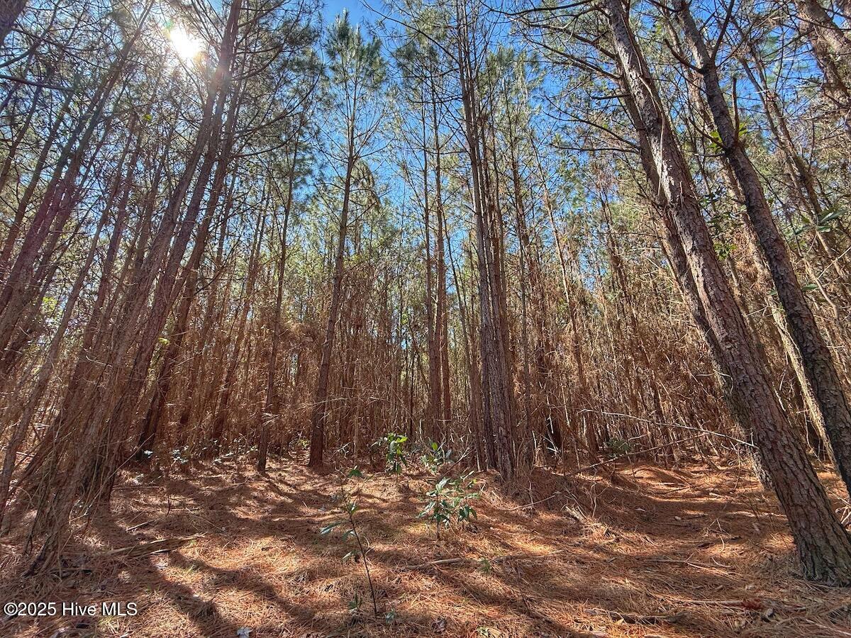 01 Highway 41 Property Photo 66