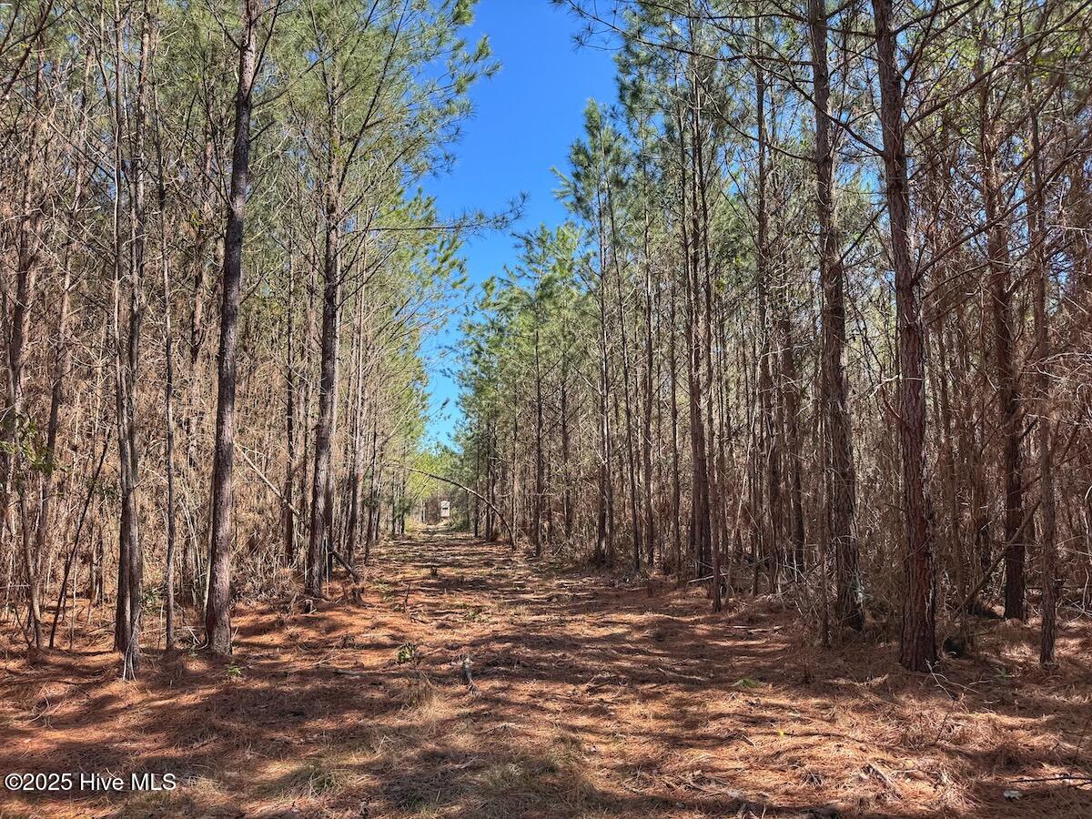 01 Highway 41 Property Photo 67