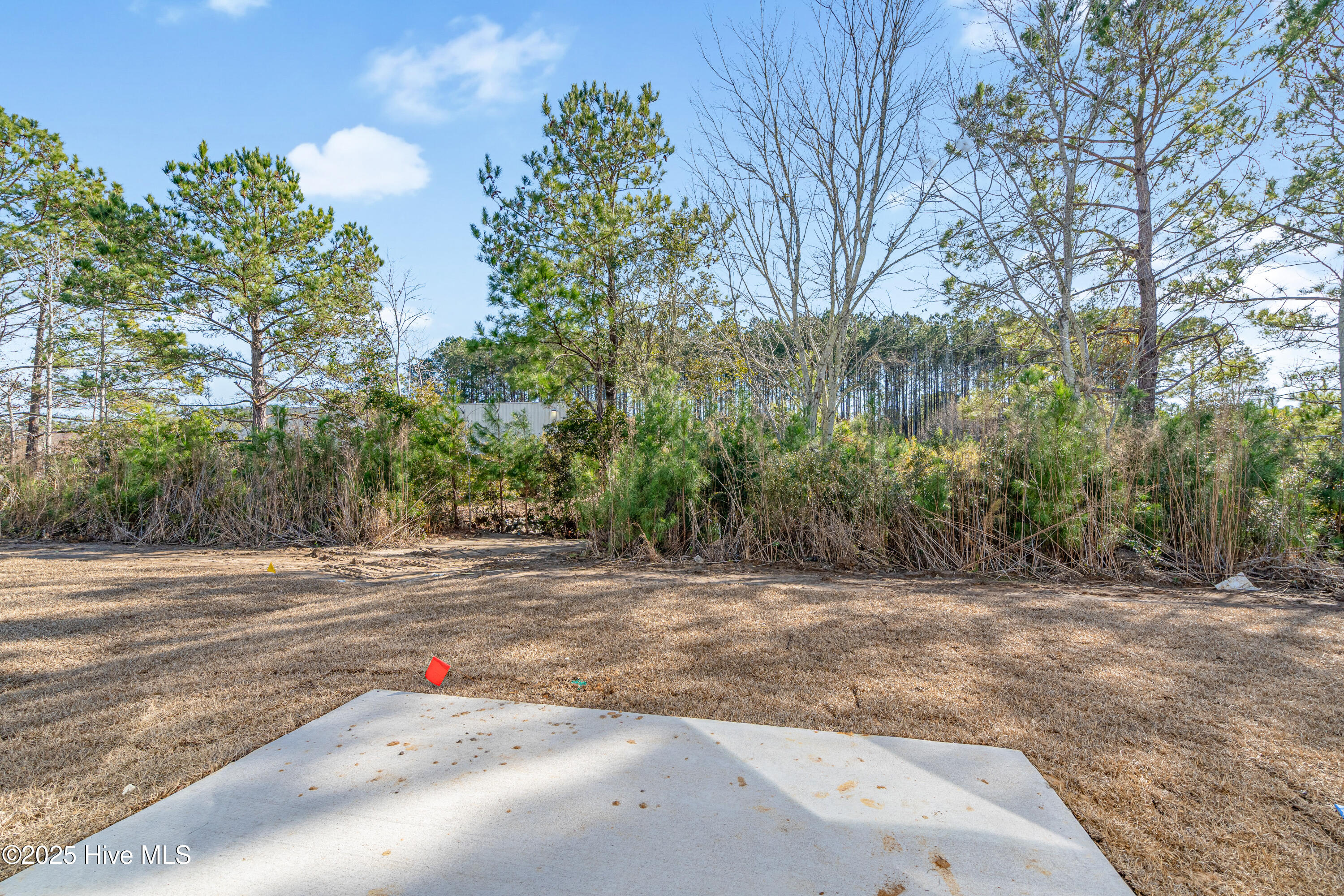 6926 Seaside Palms Place Property Photo 34
