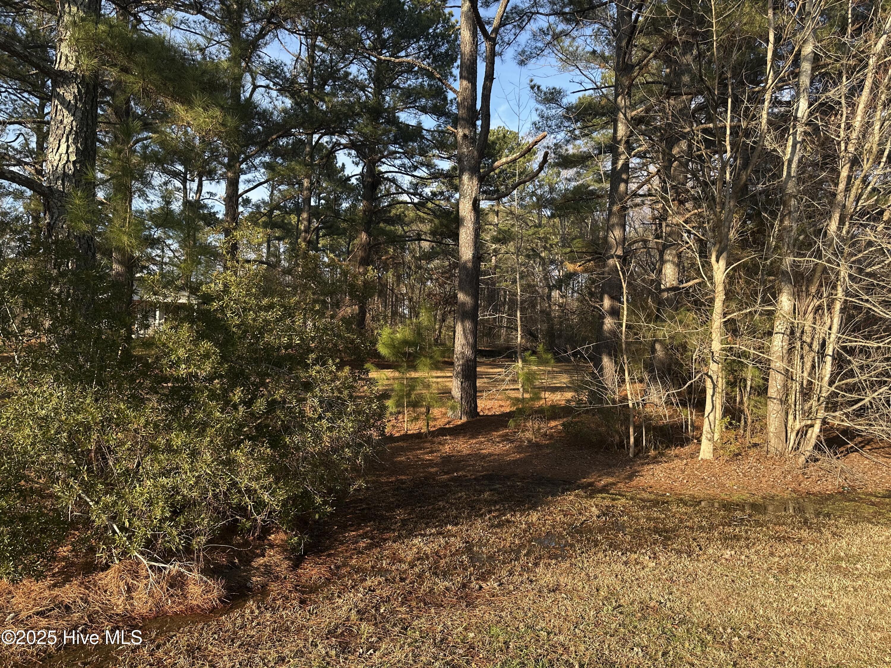 1152 Freer Drive Property Photo 1