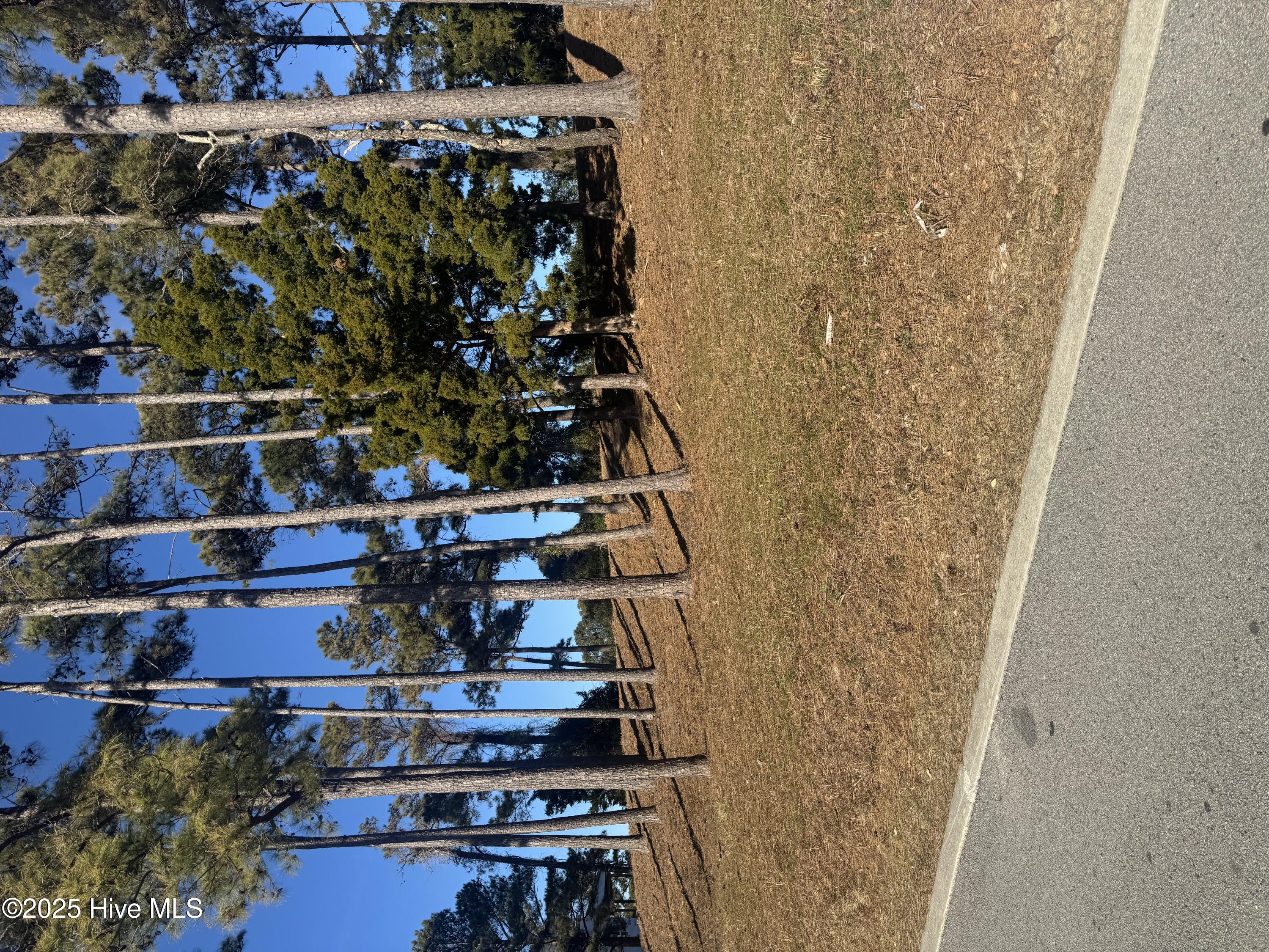 4016 Barnes Bluff Drive Property Photo 1