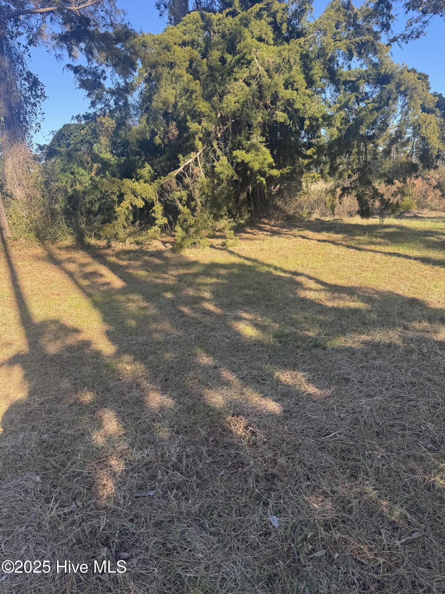 4016 Barnes Bluff Drive Property Photo 4