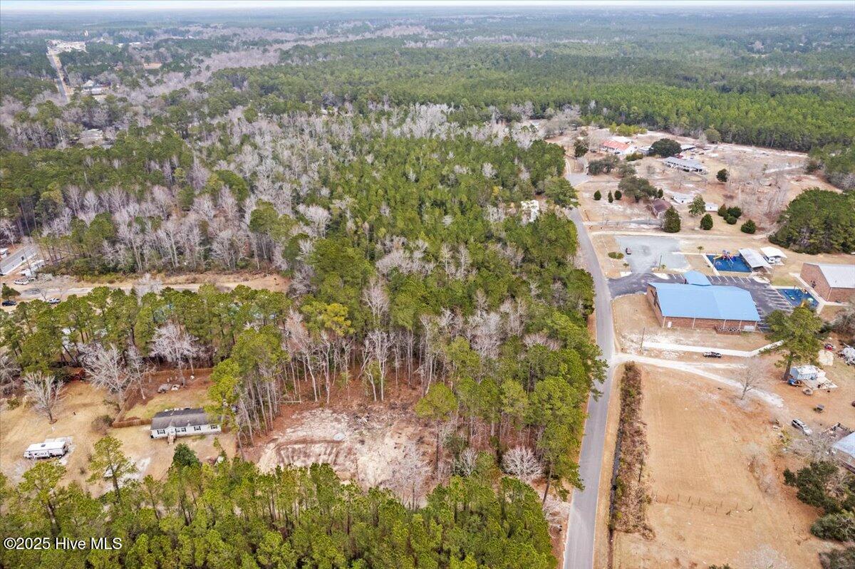 390 Walkinghorse Point Property Photo 4