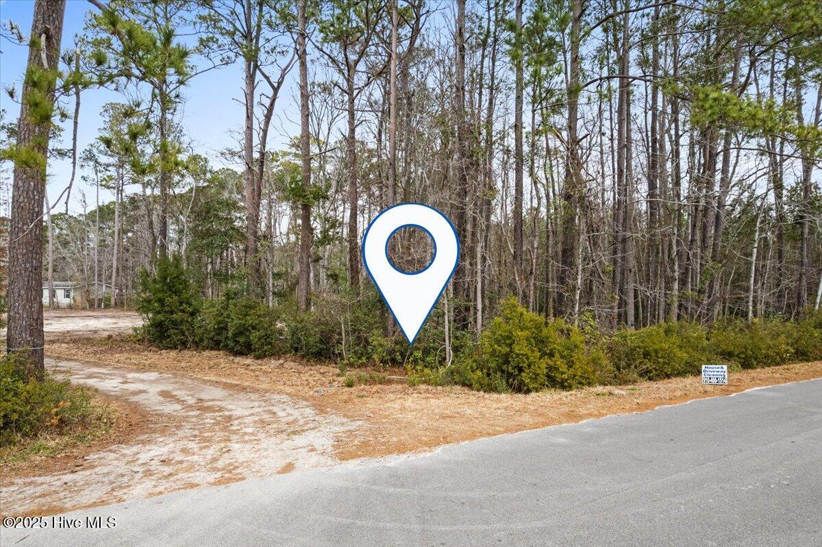 390 Walkinghorse Point Property Photo 5
