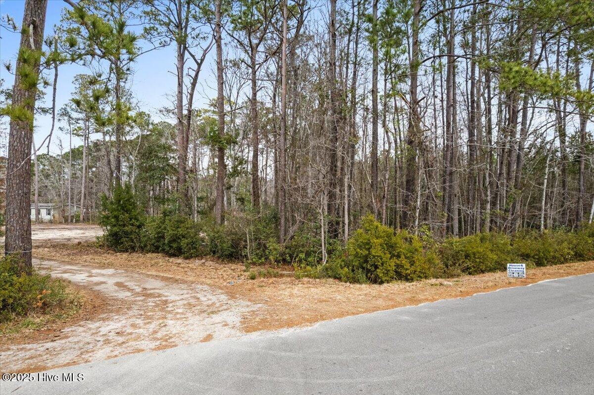 390 Walkinghorse Point Property Photo 6
