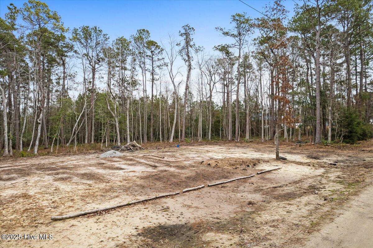 390 Walkinghorse Point Property Photo 8