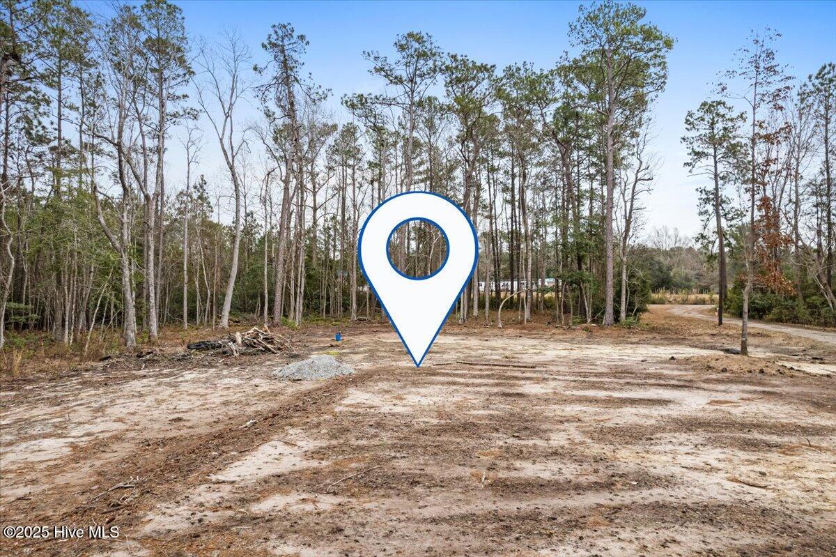 390 Walkinghorse Point Property Photo 9