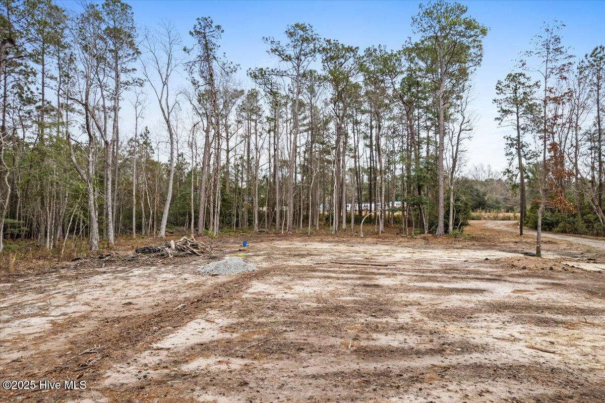 390 Walkinghorse Point Property Photo 10