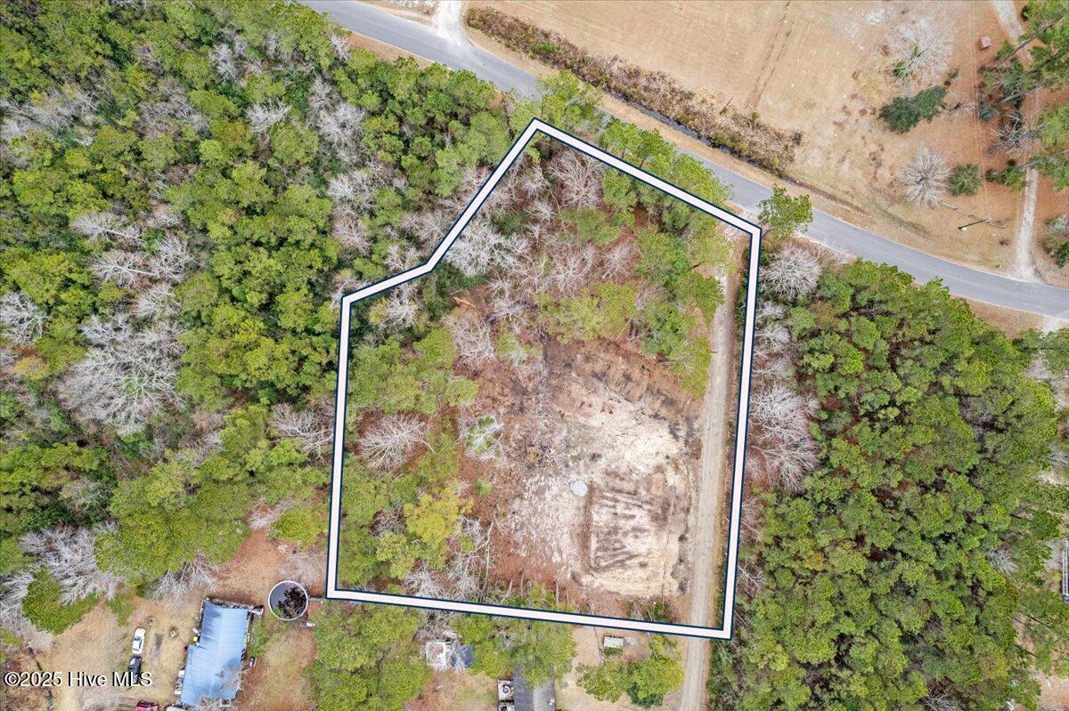 390 Walkinghorse Point Property Photo 11