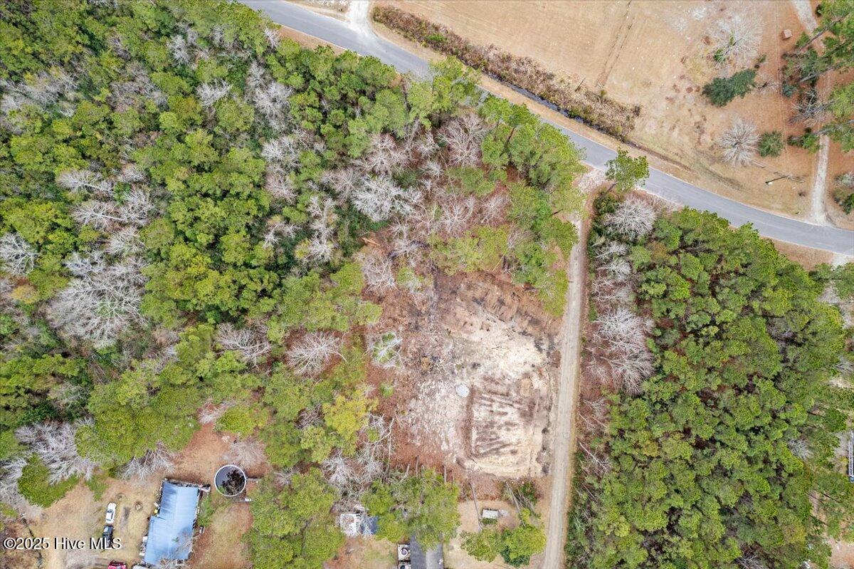 390 Walkinghorse Point Property Photo 12