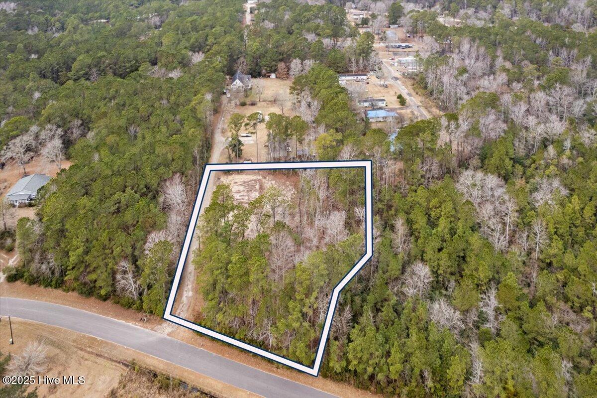 390 Walkinghorse Point Property Photo 13