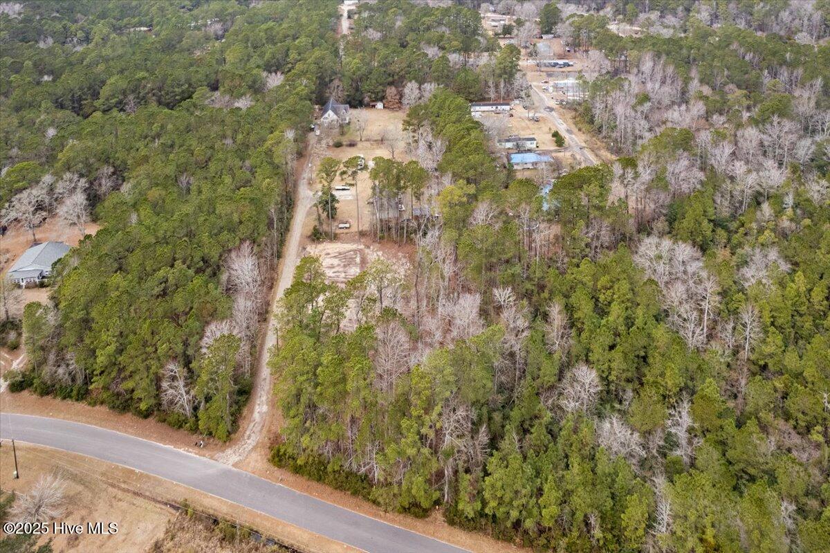390 Walkinghorse Point Property Photo 14