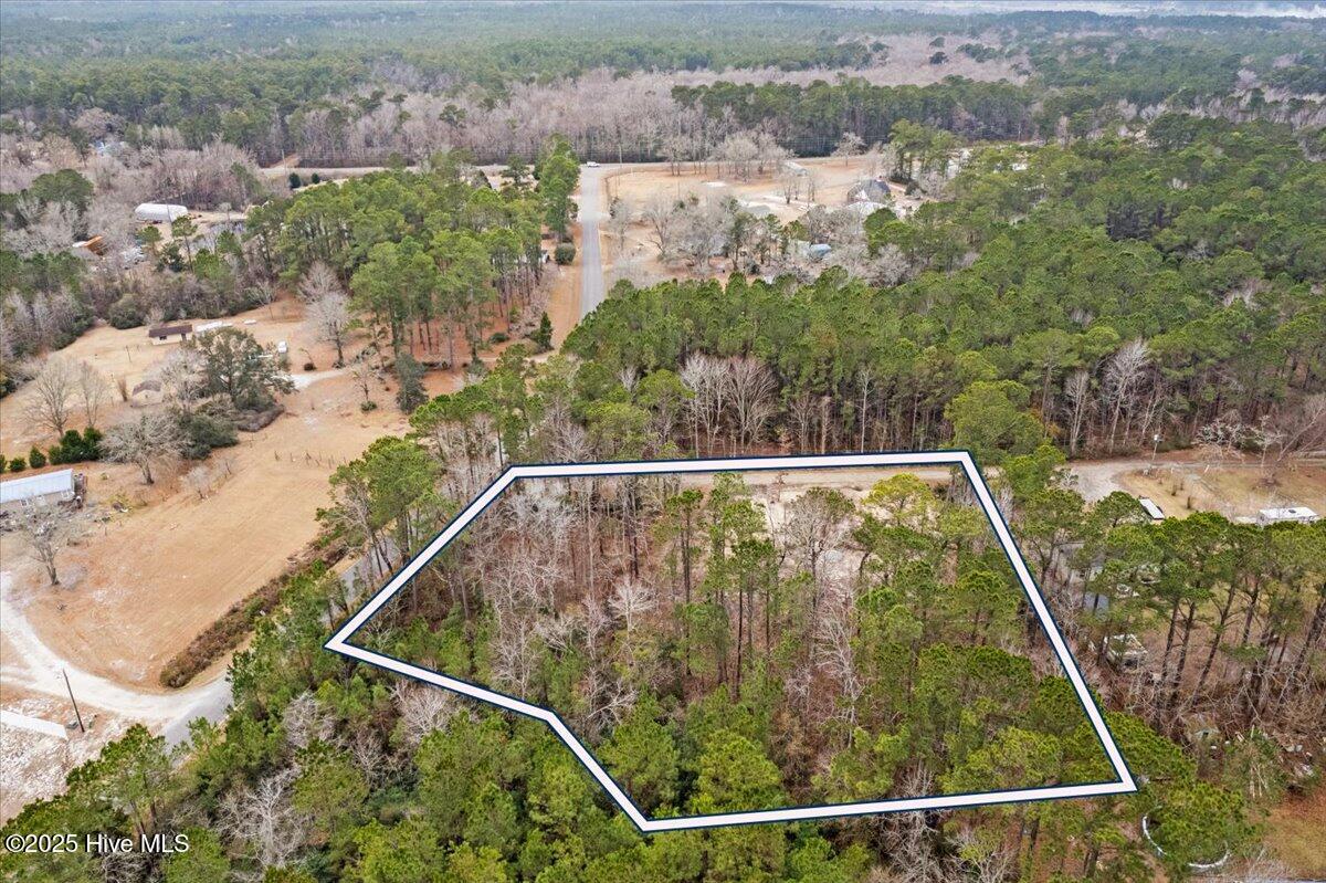 390 Walkinghorse Point Property Photo 15