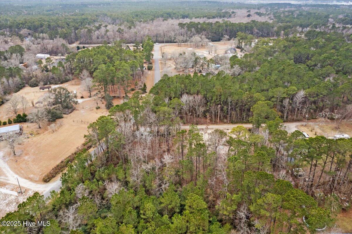 390 Walkinghorse Point Property Photo 16