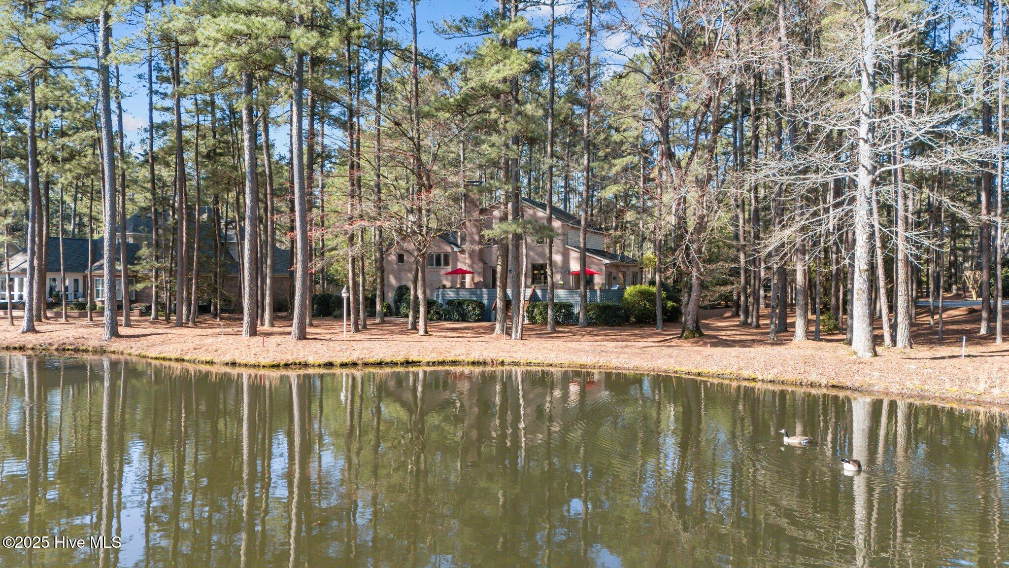 17 Mcmichael Drive Property Photo 8