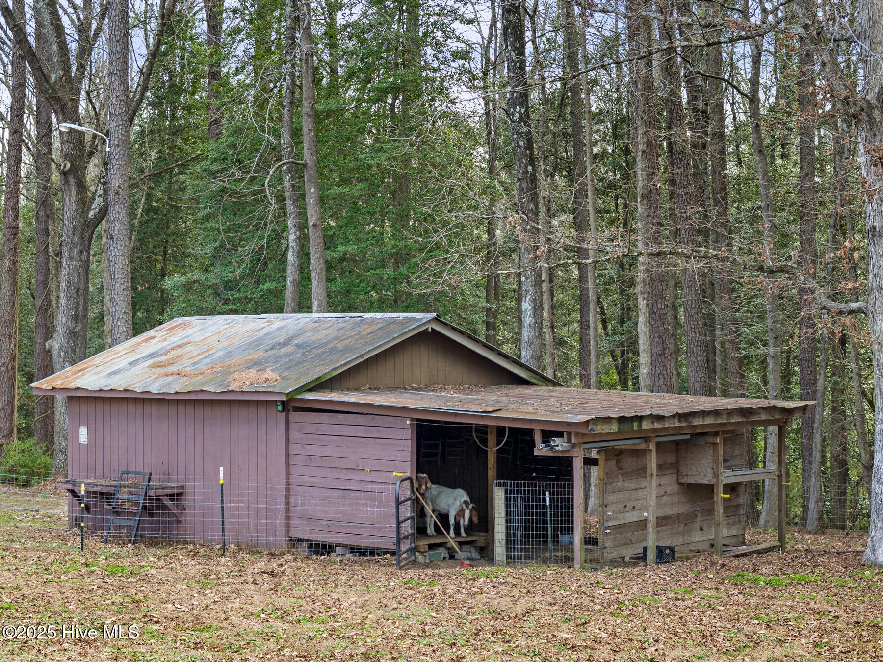 577 Dixon Road Unit D Property Photo 48